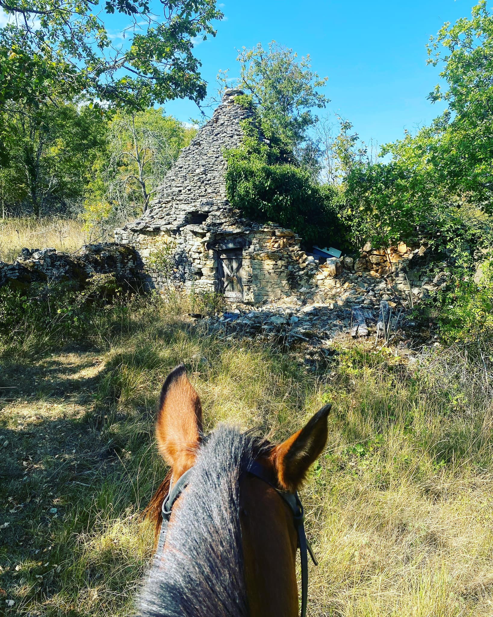 Equi Aventure, Salviac - photo 6