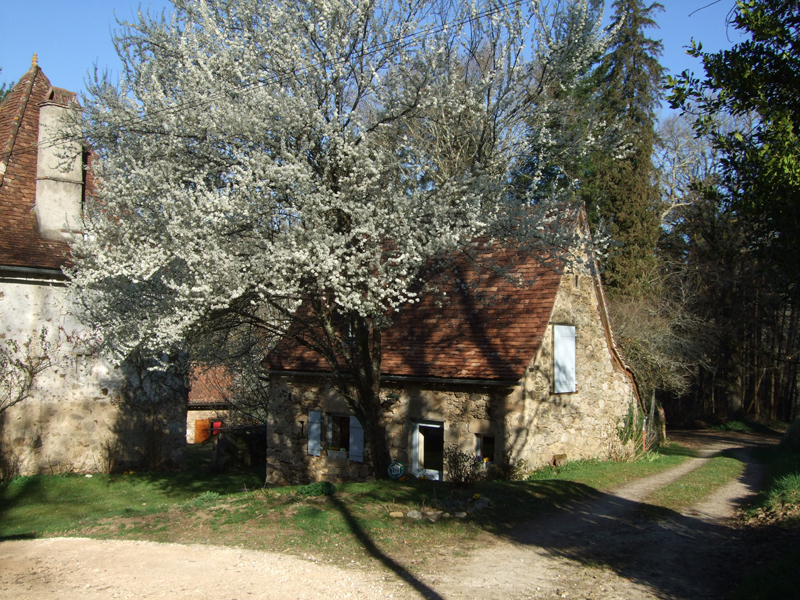 Le Sécadou, Latouille-Lentillac - photo 4