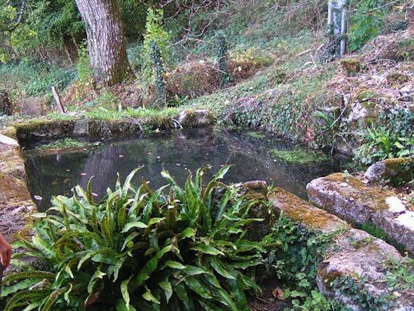 Les Ecuries du Moulin de Paunac, Le Vignon-en-Quercy - photo 10