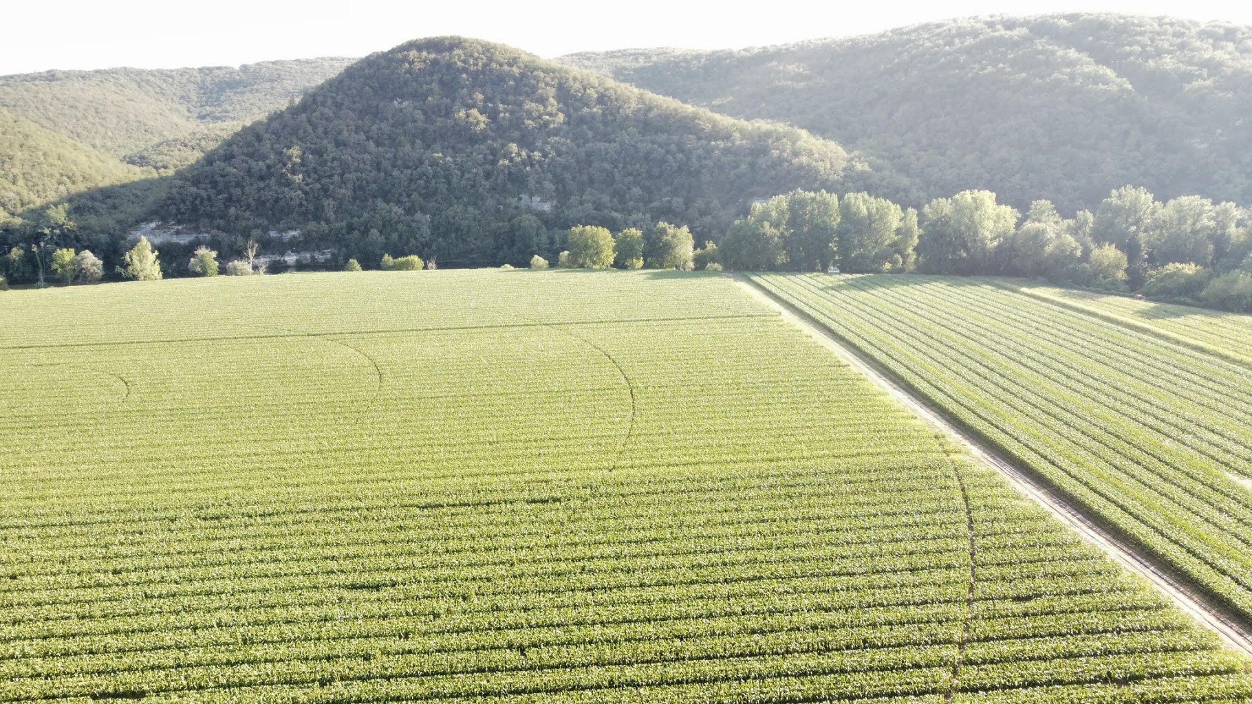 La Grange Du Méandre, Cajarc - photo 24