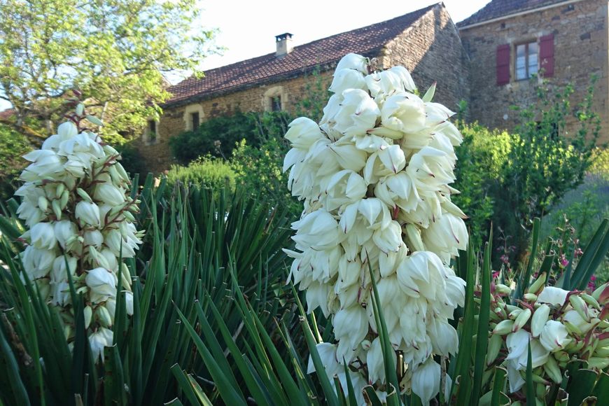 Gite La Libellule, Frayssinet-le-Gélat - photo 20