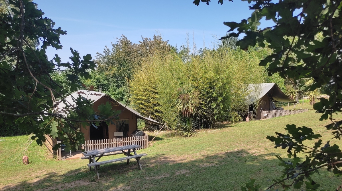 Pagel, Catus - photo 6