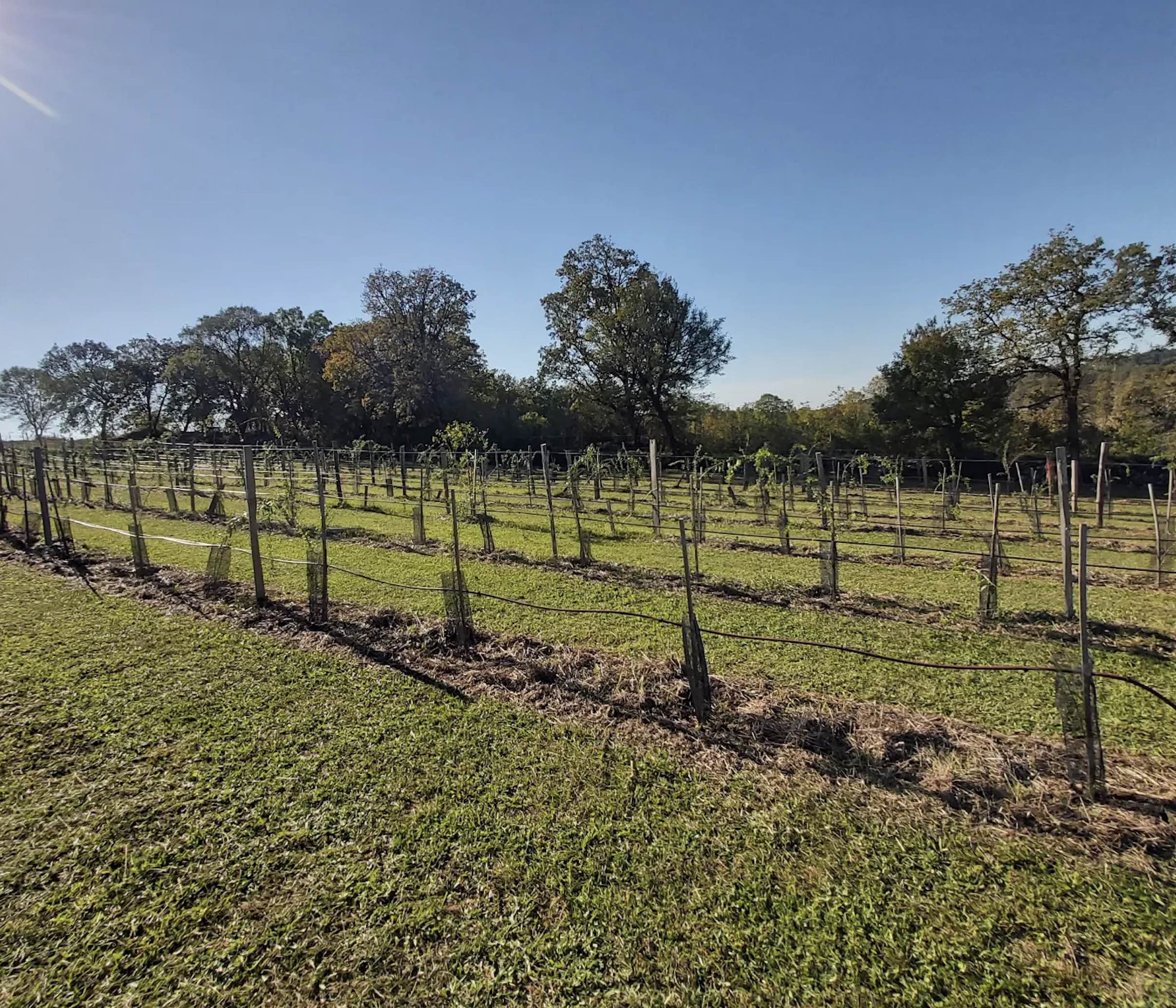 Camping Finca Baribal, Concots - photo 22