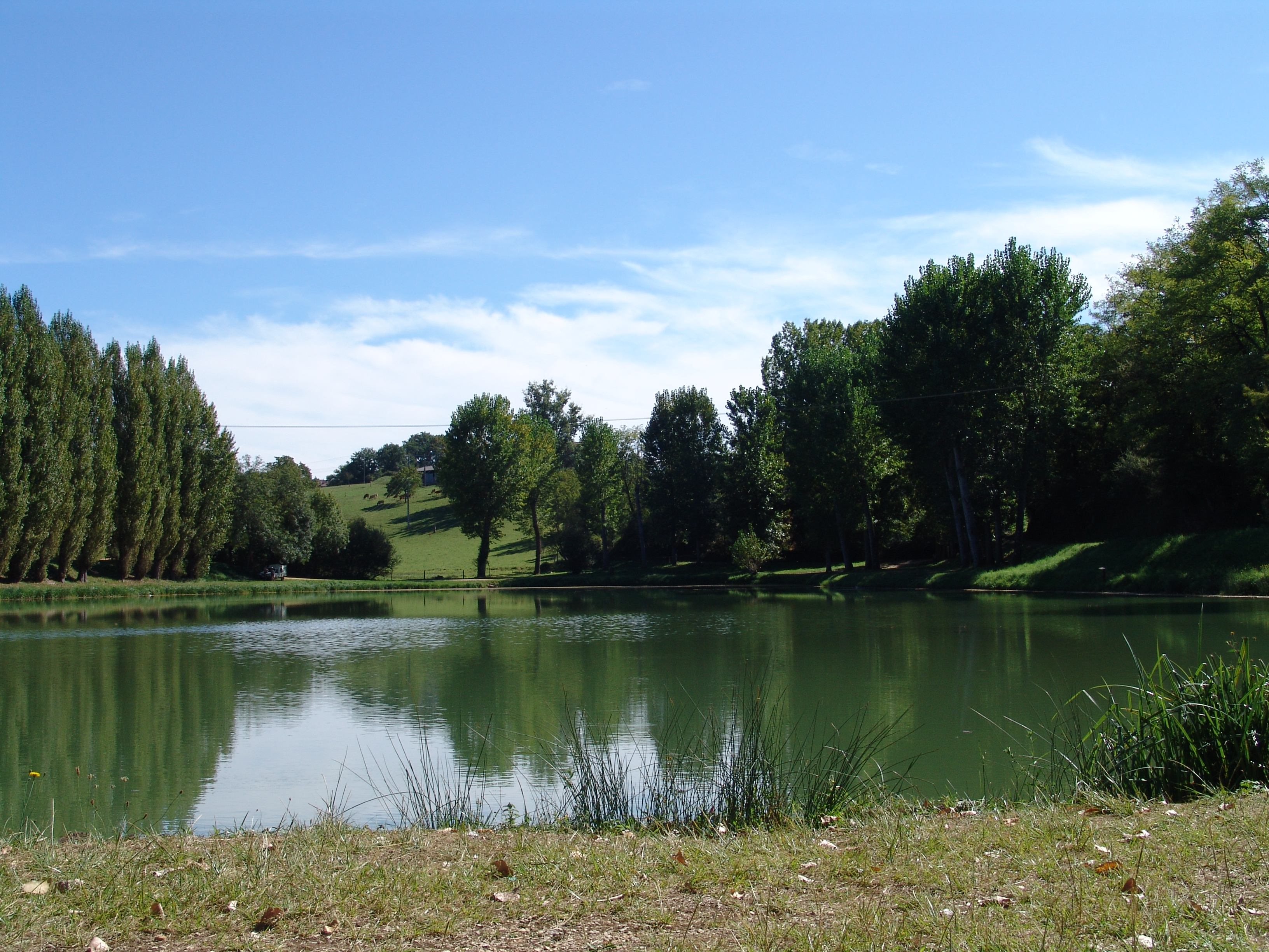 Étang de Pêche de Laumel