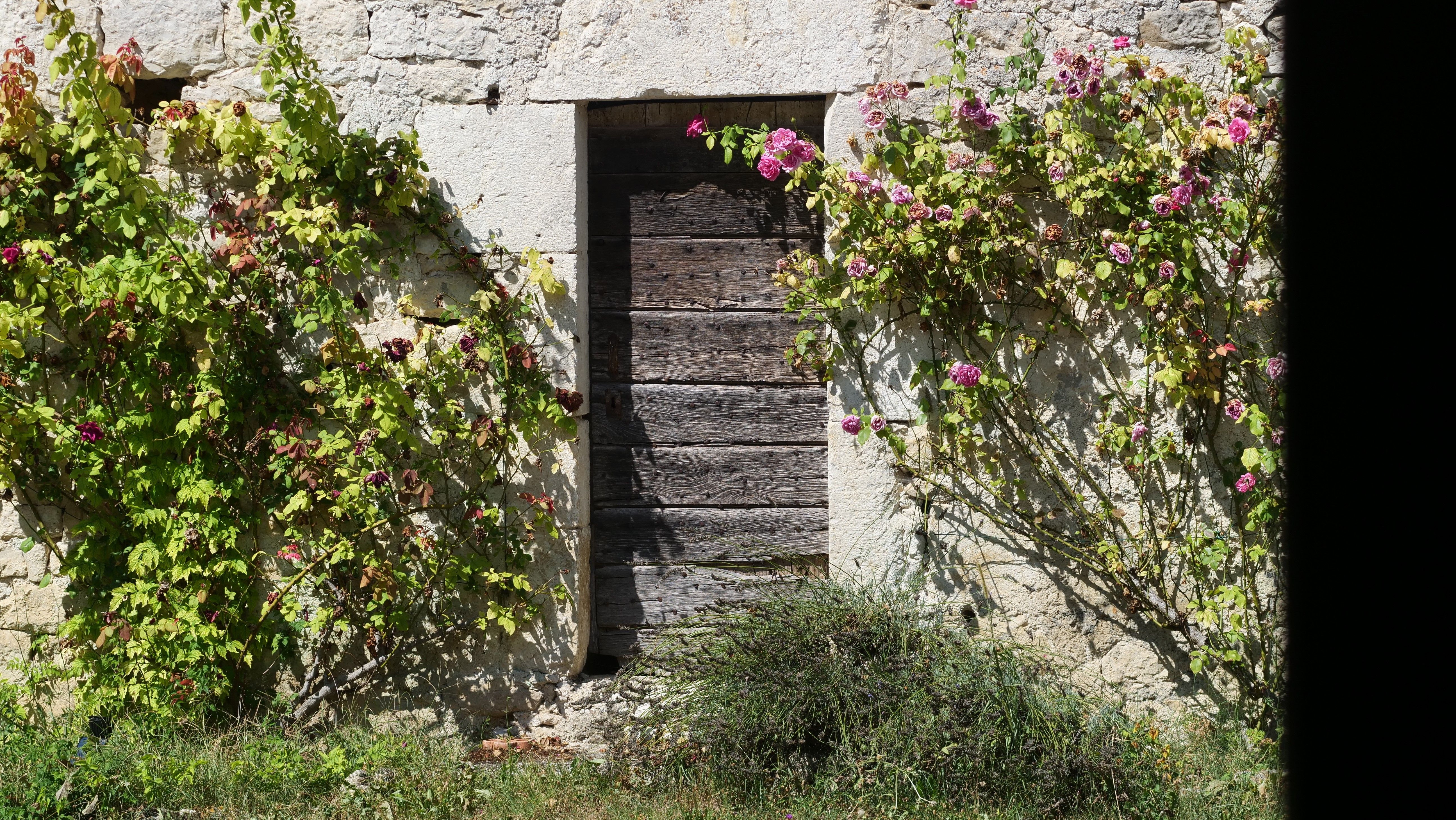 Mas Labrugade - Le III, Montcuq-en-Quercy-Blanc - photo 17