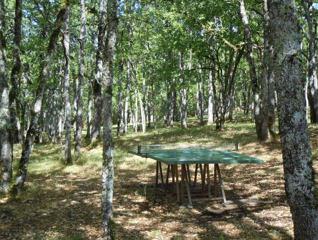La  Blénie, Gignac - photo 2