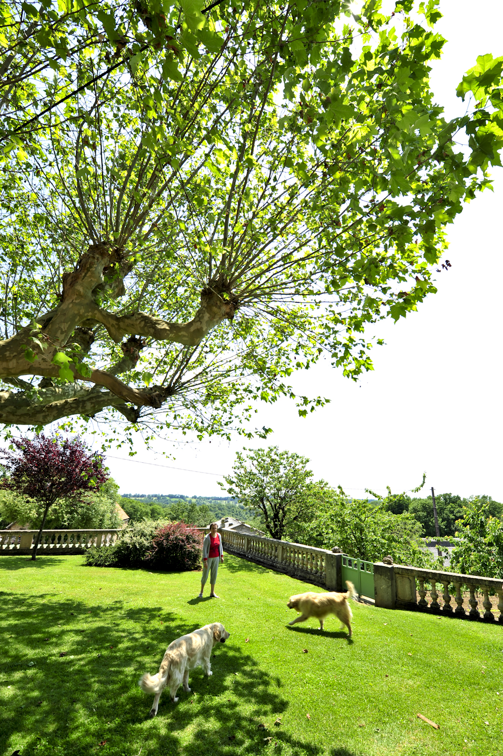 Le Vieux Séchoir, Miers - photo 5