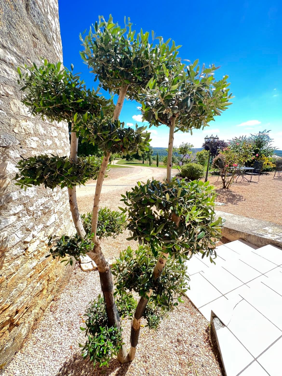 Hôtel*** Les Vieilles Tours Rocamadour, Rocamadour - photo 20