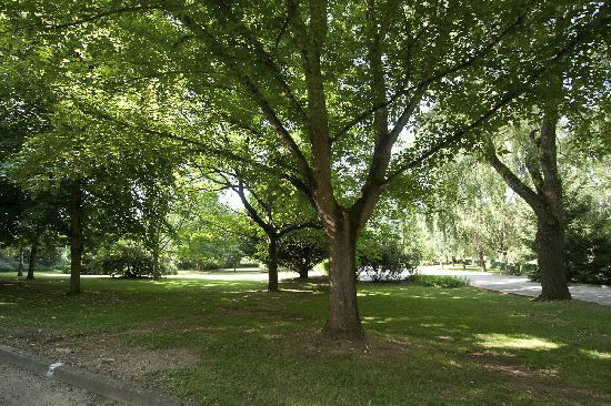 Hôtel Restaurant Les Trois Soleils de Montal, Saint-Jean-Lespinasse - photo 4