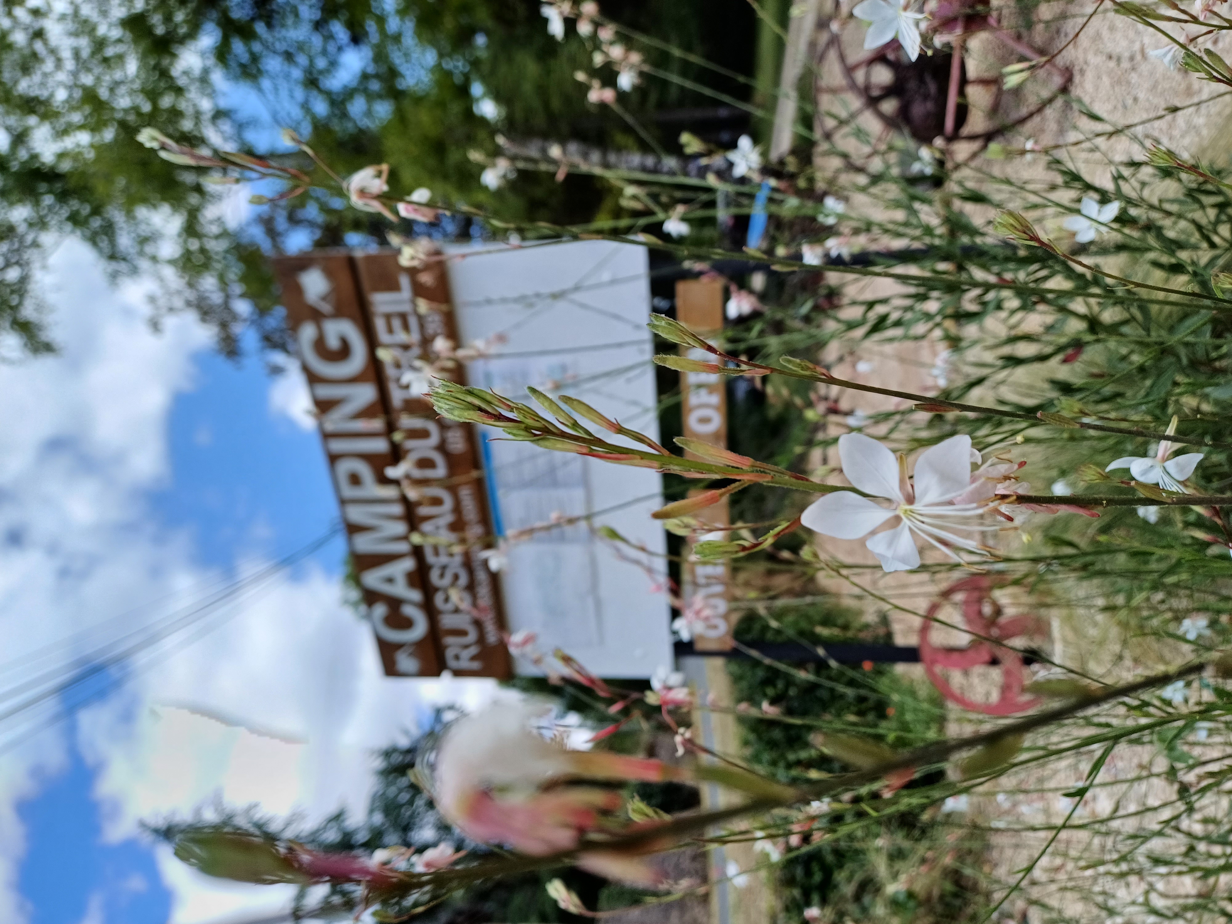 Camping du Ruisseau du Treil