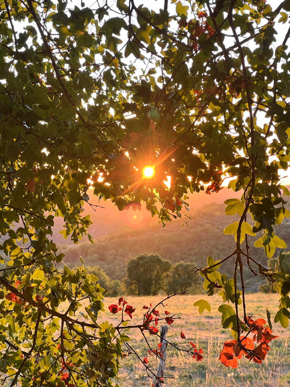 Hôtel*** Les Vieilles Tours Rocamadour, Rocamadour - photo 26