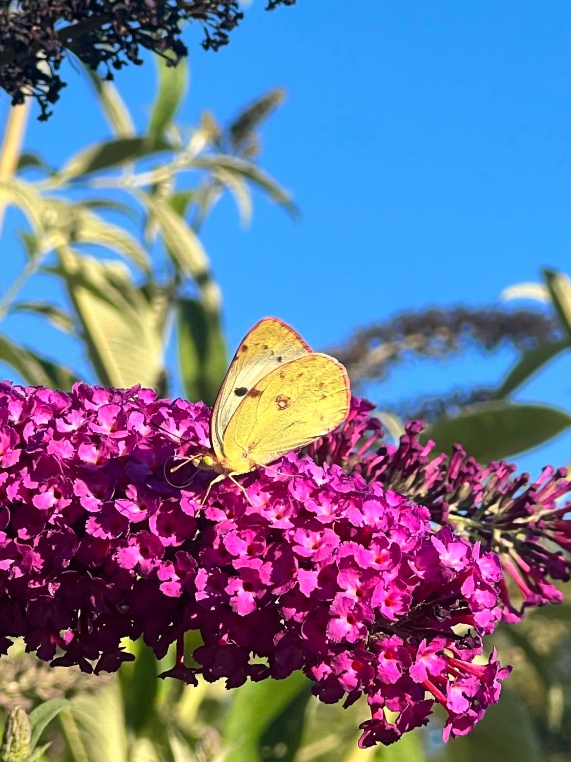 Hôtel*** Les Vieilles Tours Rocamadour, Rocamadour - photo 34