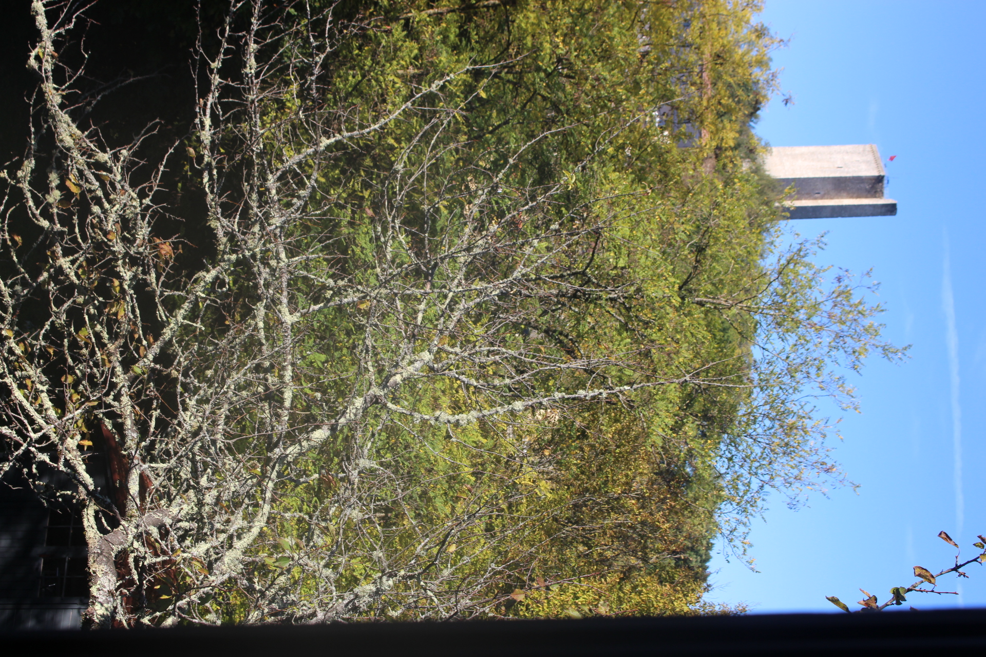 Vue sur la Tour, Montcuq-en-Quercy-Blanc - photo 7