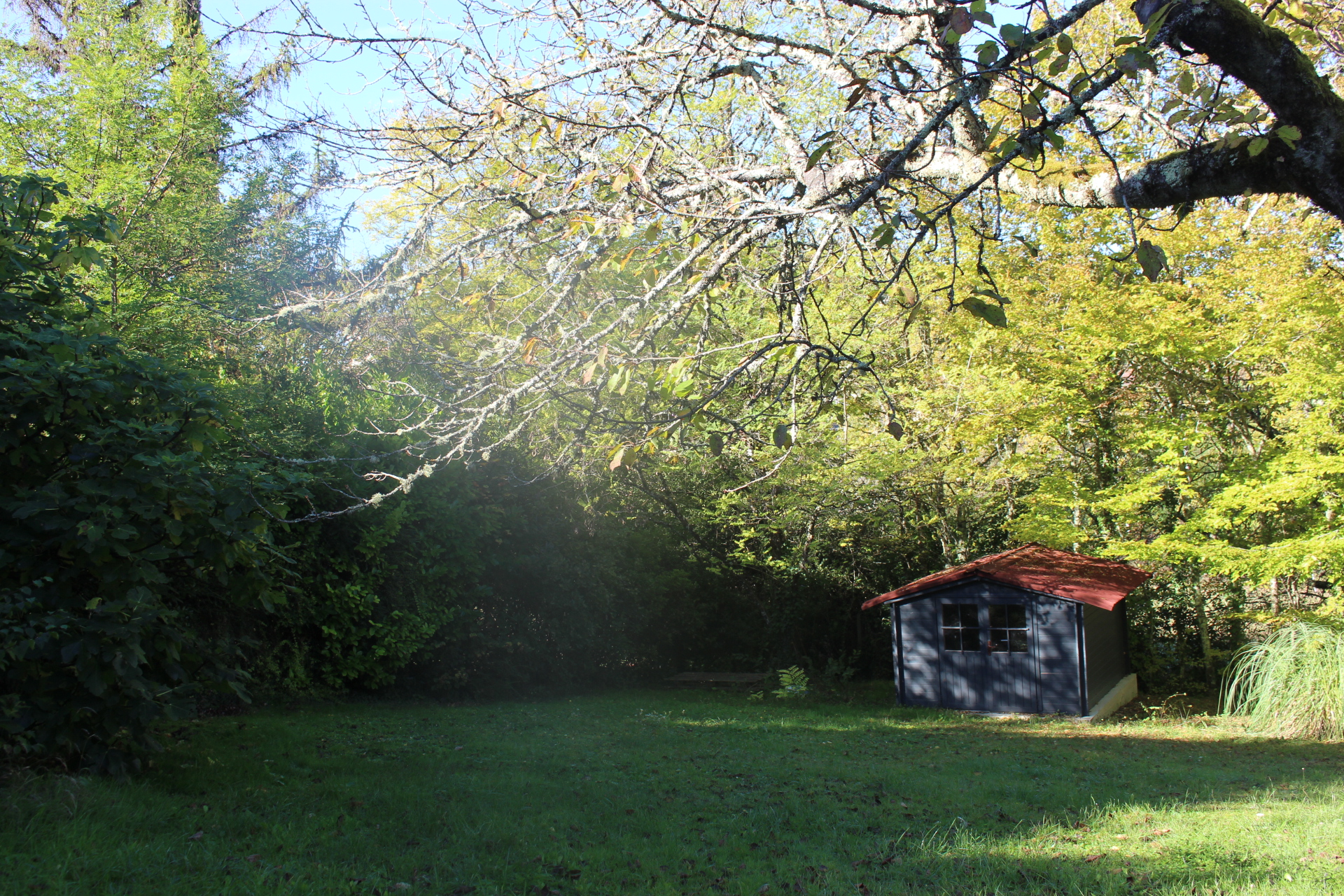 Vue sur la Tour, Montcuq-en-Quercy-Blanc - photo 16