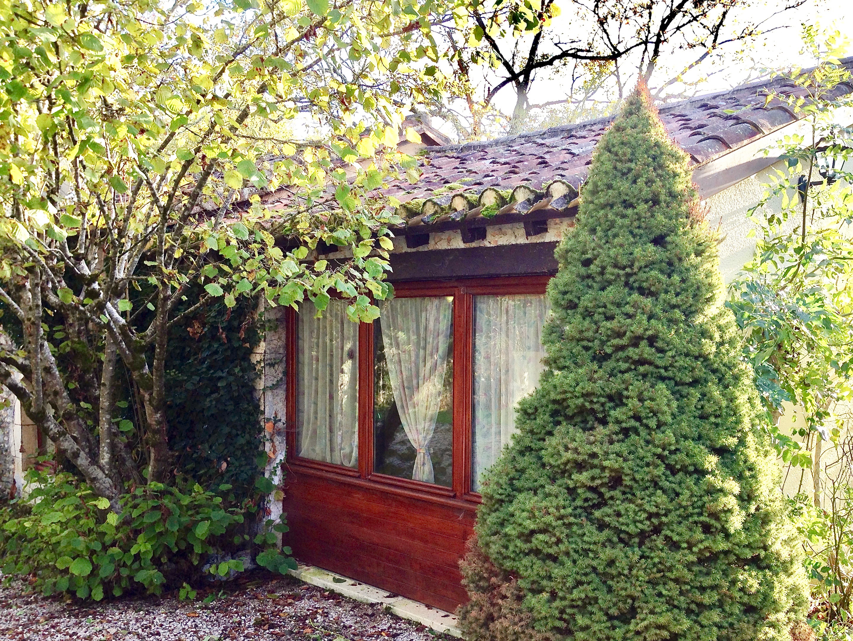 Libellule, Cremps - photo 3