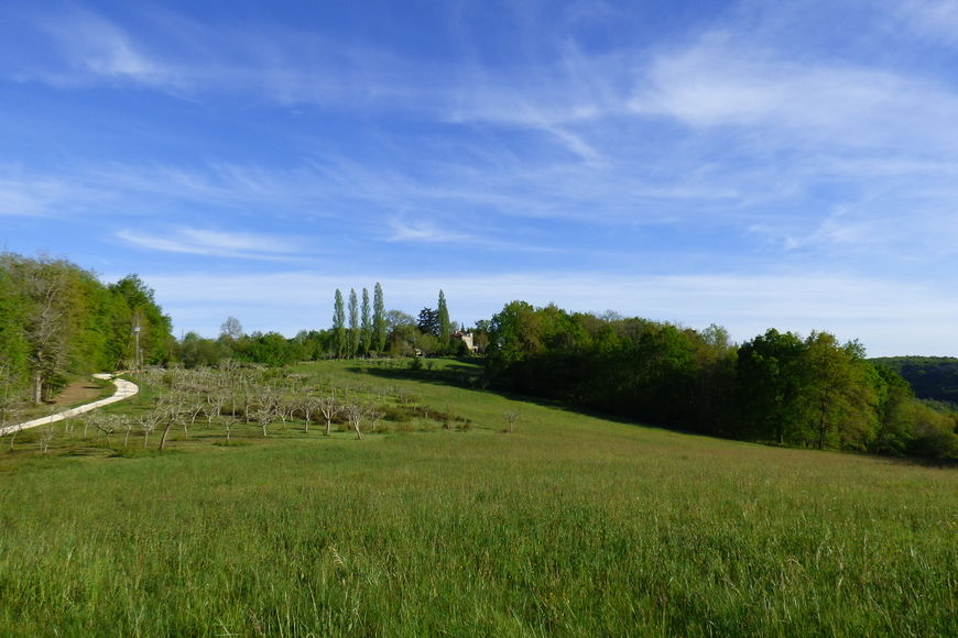 Domaine Lajanèze - Le Figuier, Montcabrier - photo 24