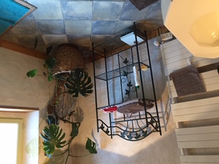 La Carambole, Glanes - photo 3