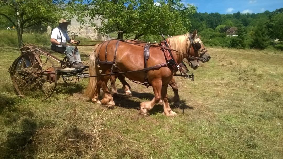 La Carambole, Glanes - photo 7