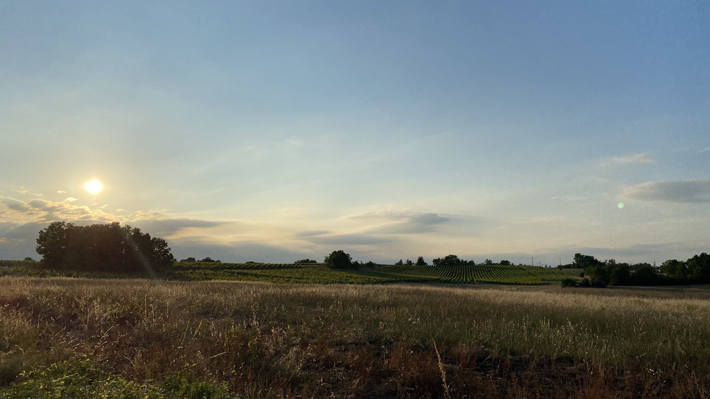 Léa des Bories, Barguelonne-en-Quercy - photo 6