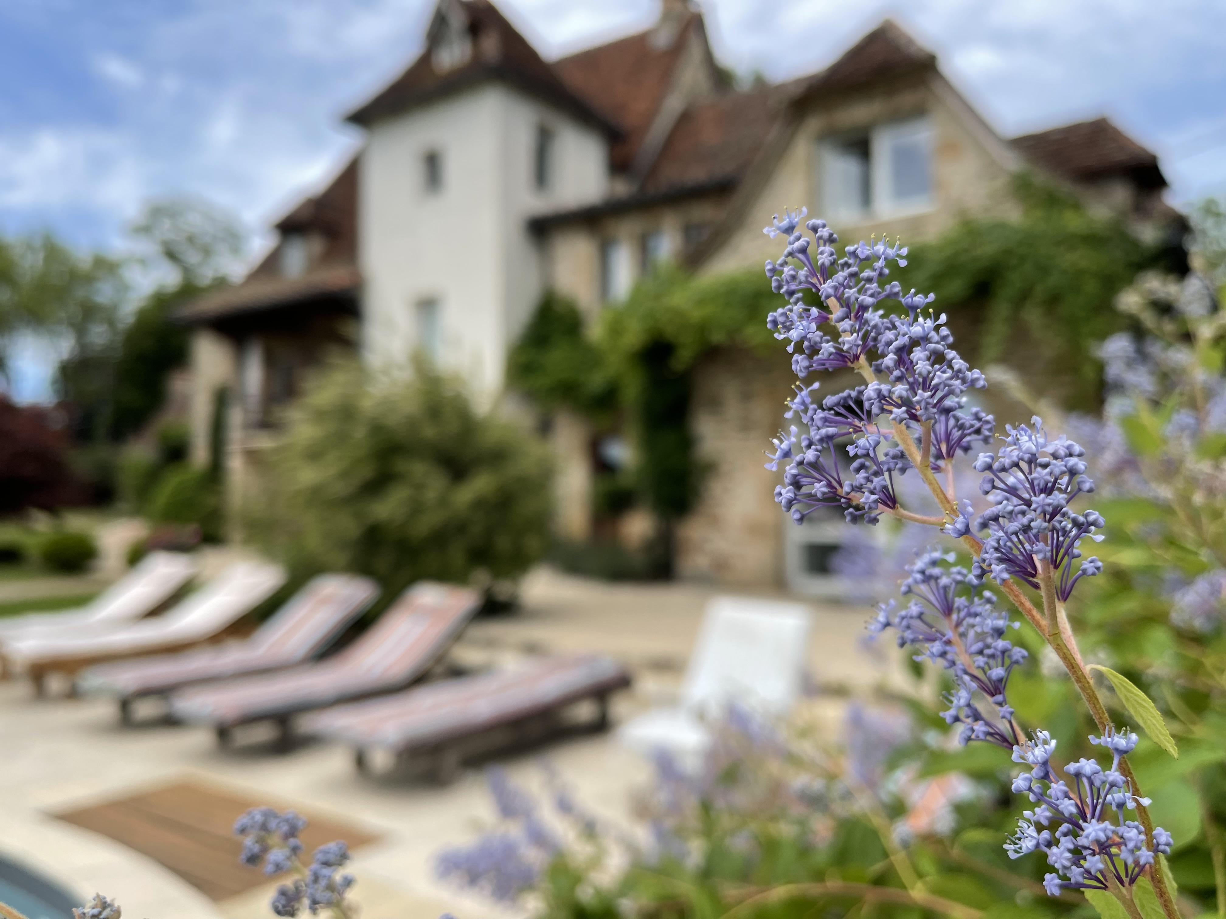 Les Hauts De Gamiac, Leyme - photo 3