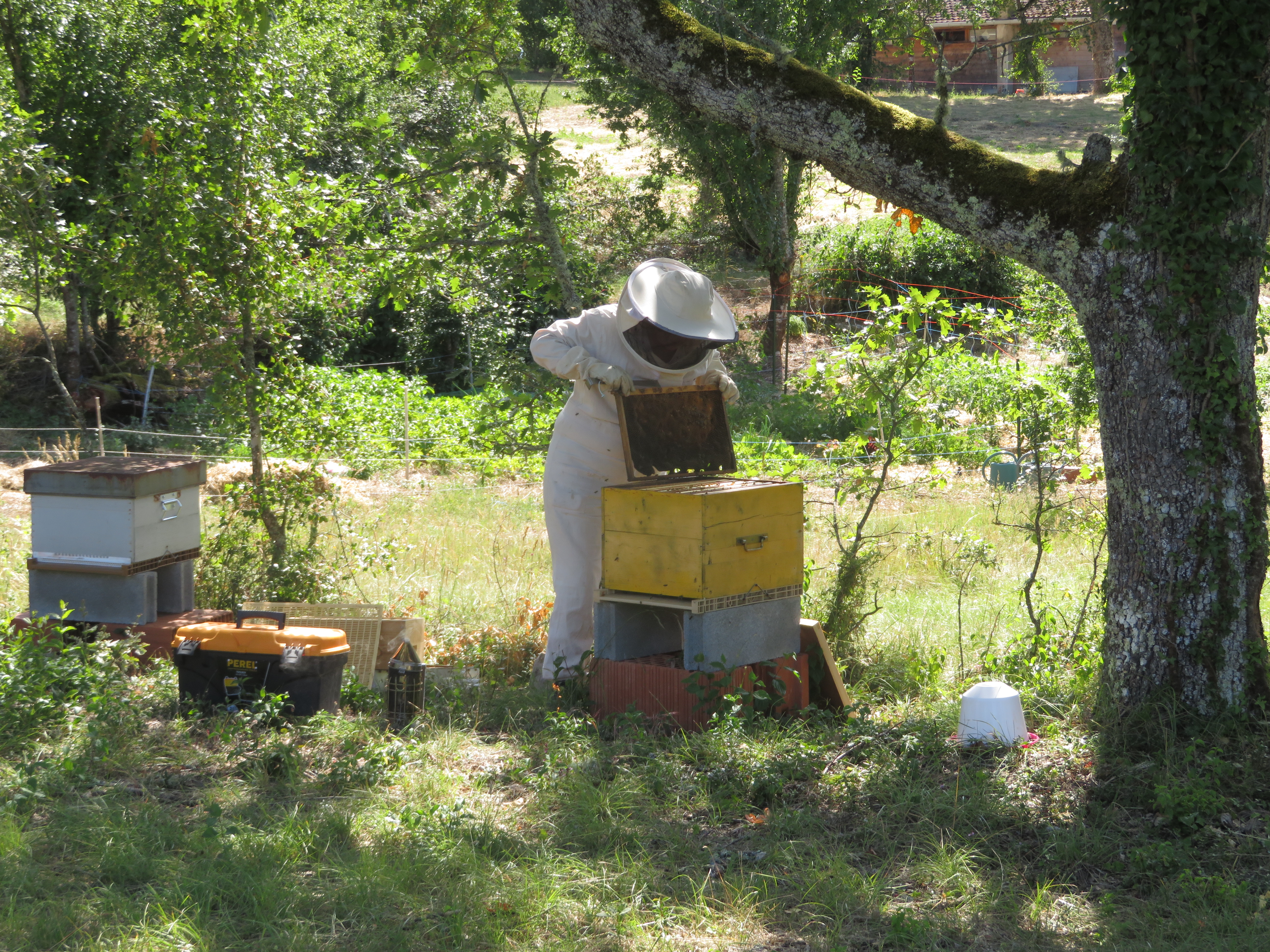La ferme de la Jamonne, Carlucet - photo 3