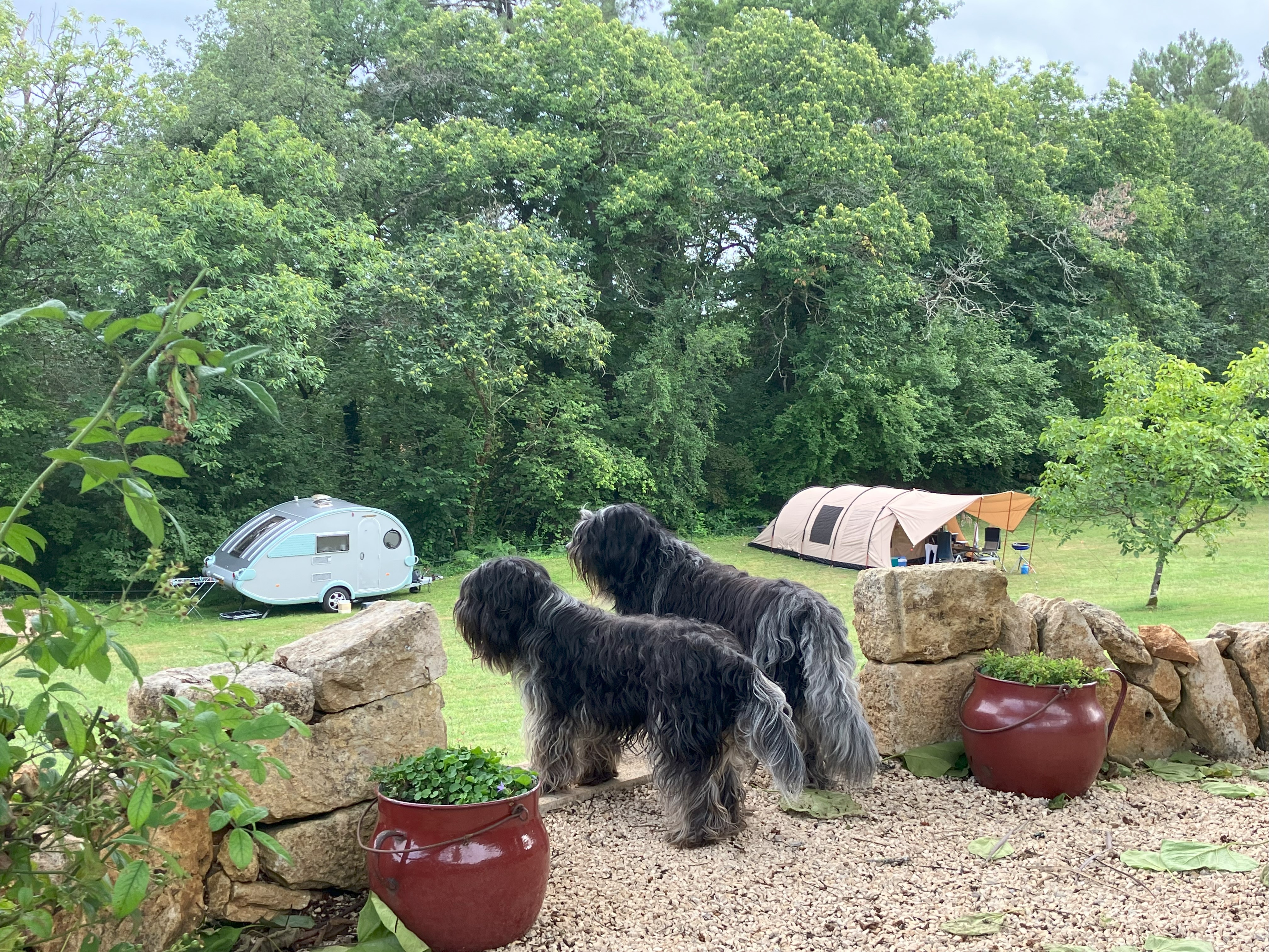 Domaine Troteligotte, Pomarède - photo 5