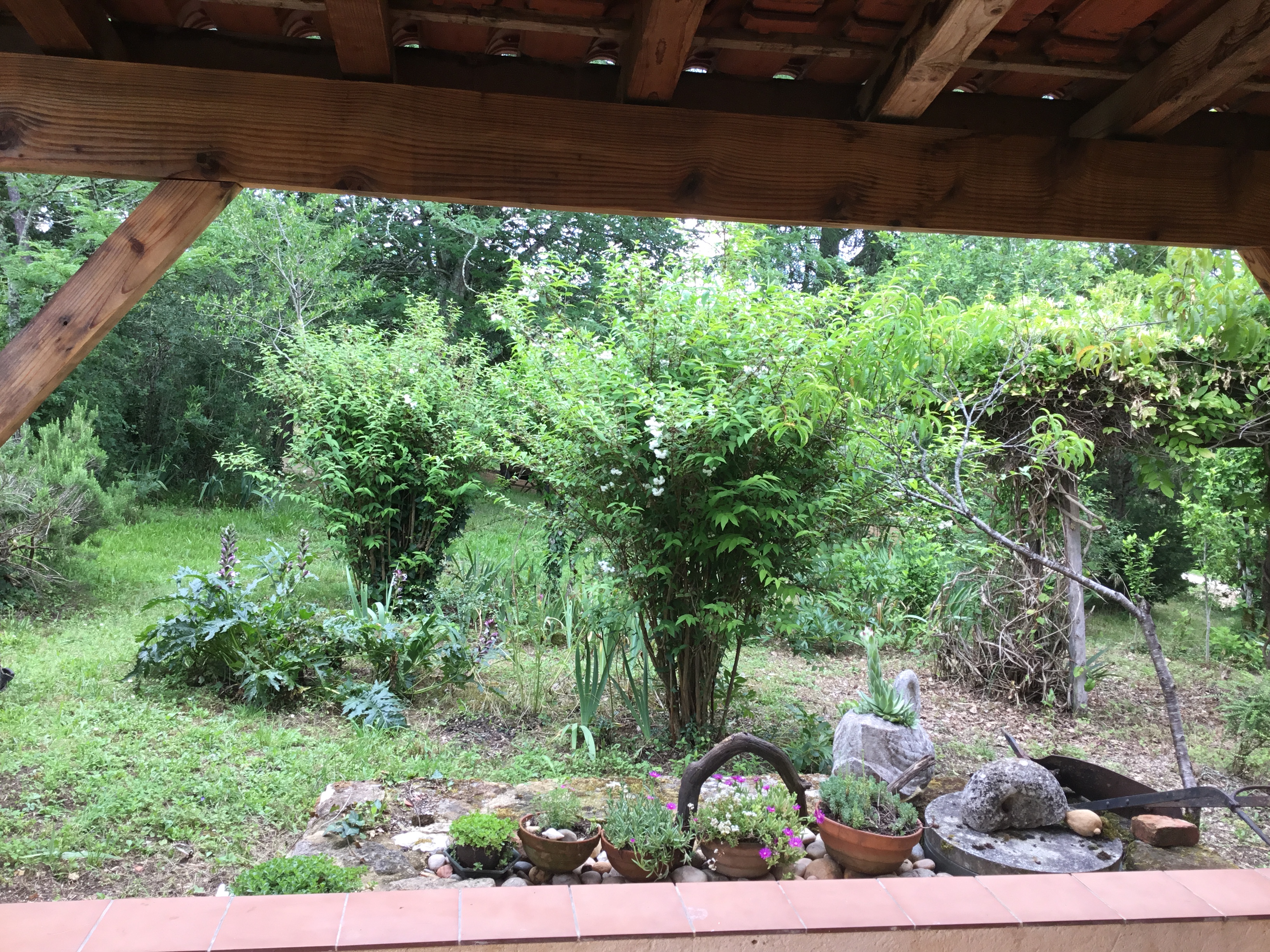 Les Vignes Vieilles, Gourdon - photo 3