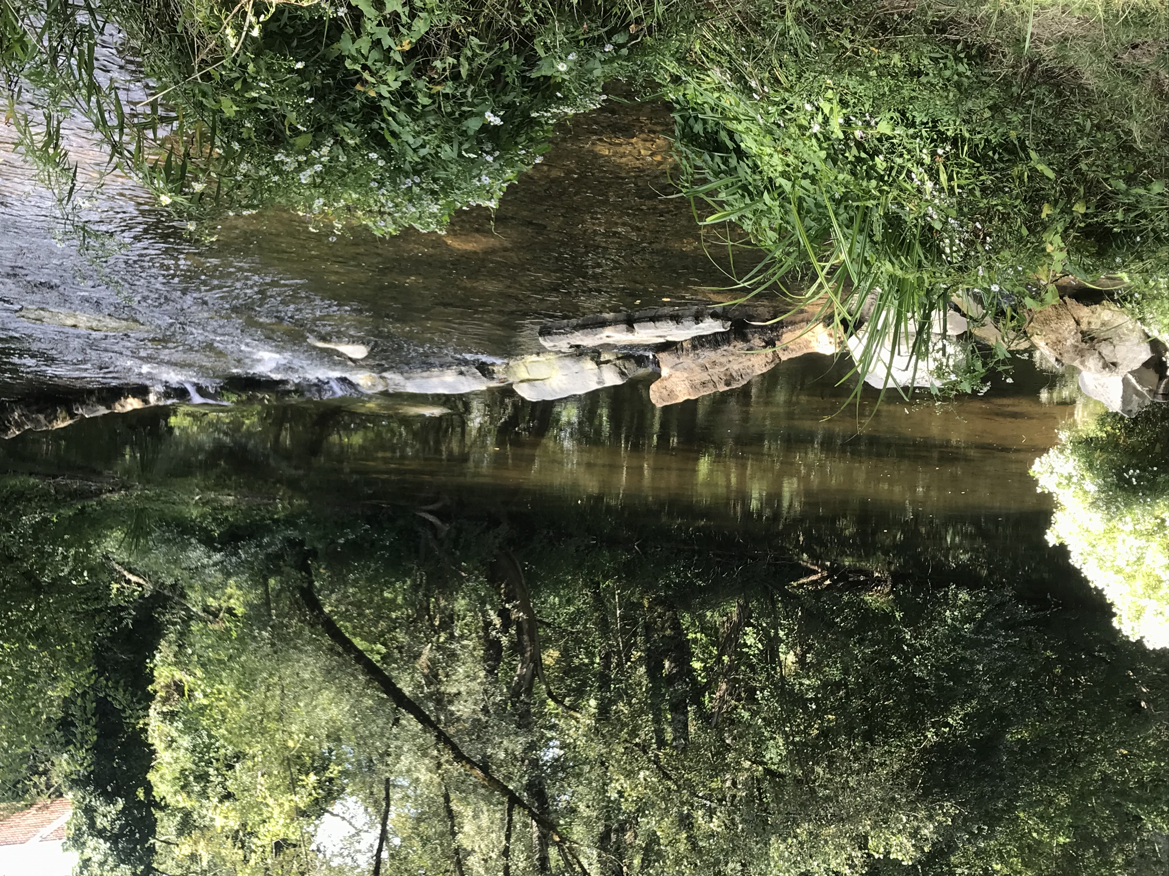 Chez Destraux "La Grange", Tauriac - photo 6