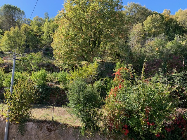 La Source aux Chevreuils, Albas - photo 2