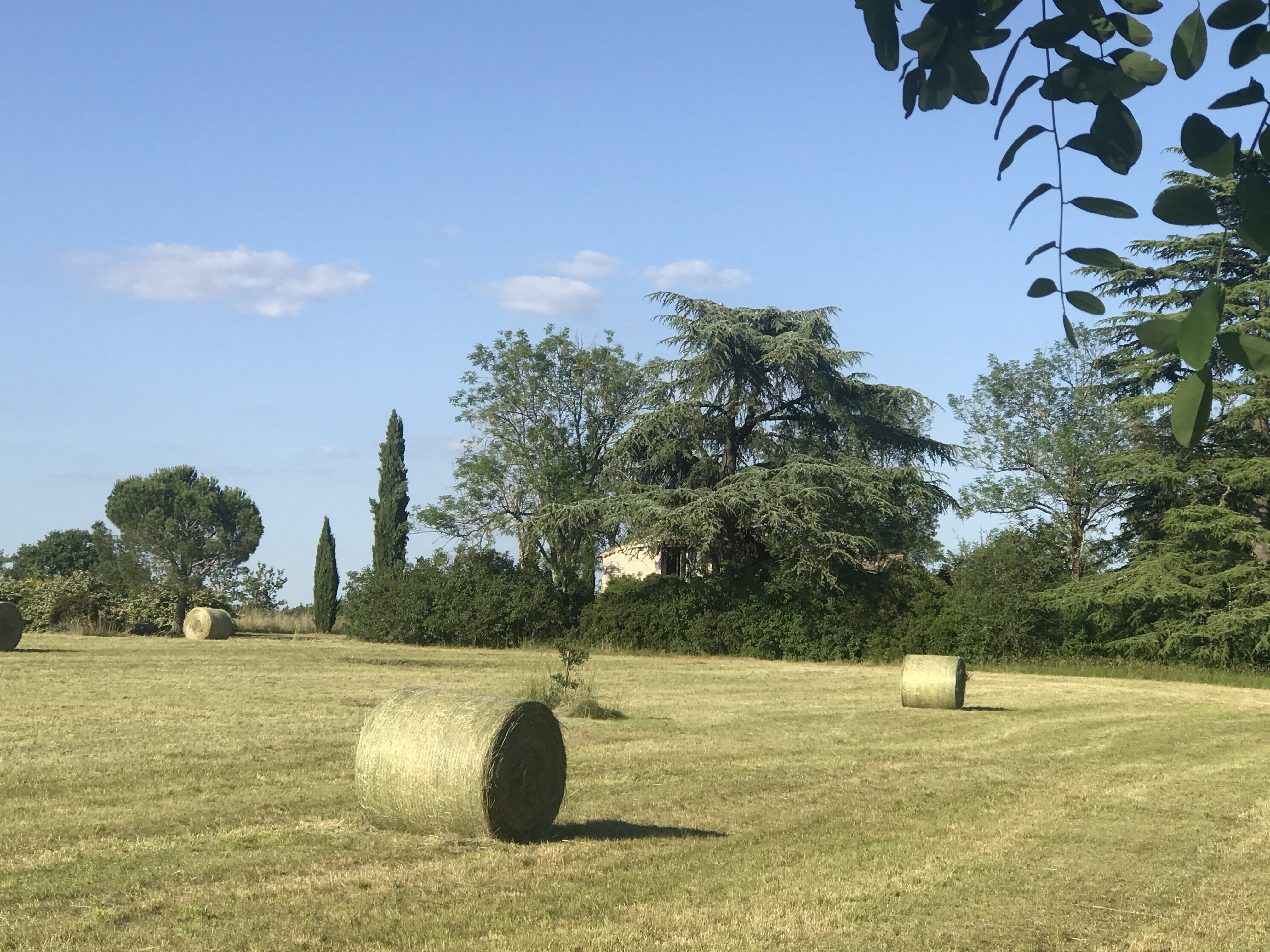 Le Moulin du Barbier, Castelnau Montratier-Sainte Alauzie - photo 23