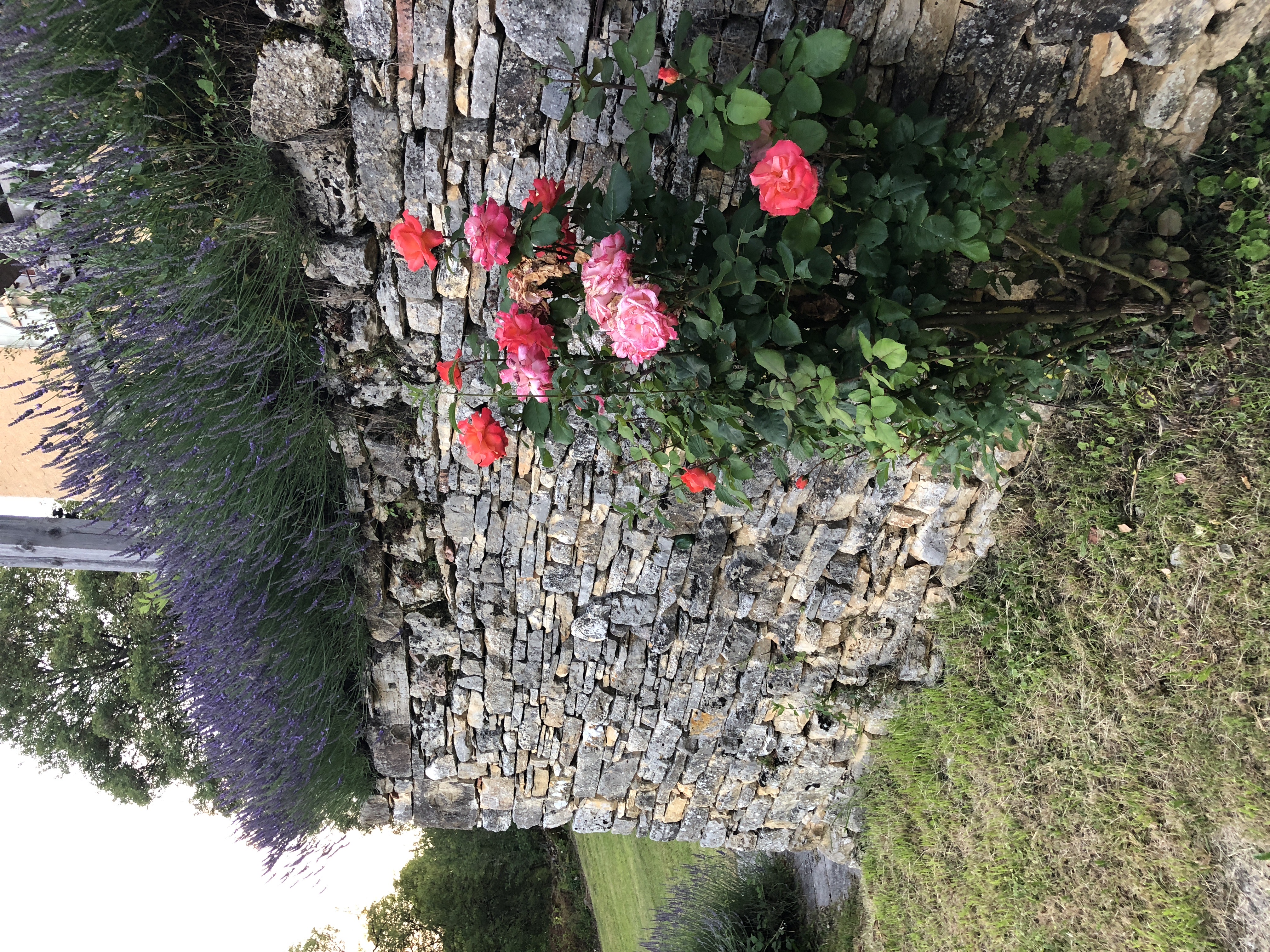 La Vieille Maison, Les Arques - photo 9