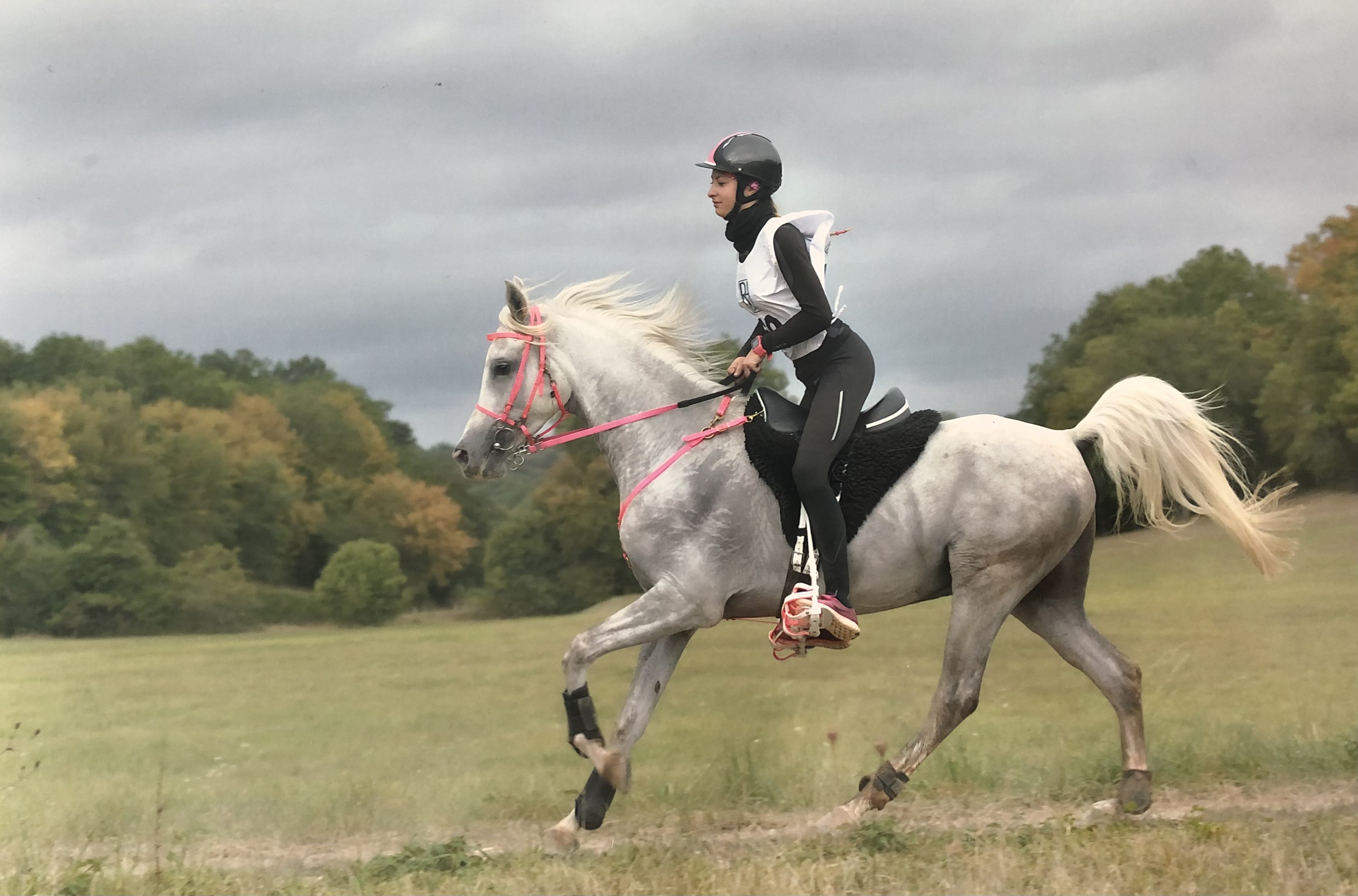 Course d'Endurance Équestre du Dégagnazès, Peyrilles - photo 2