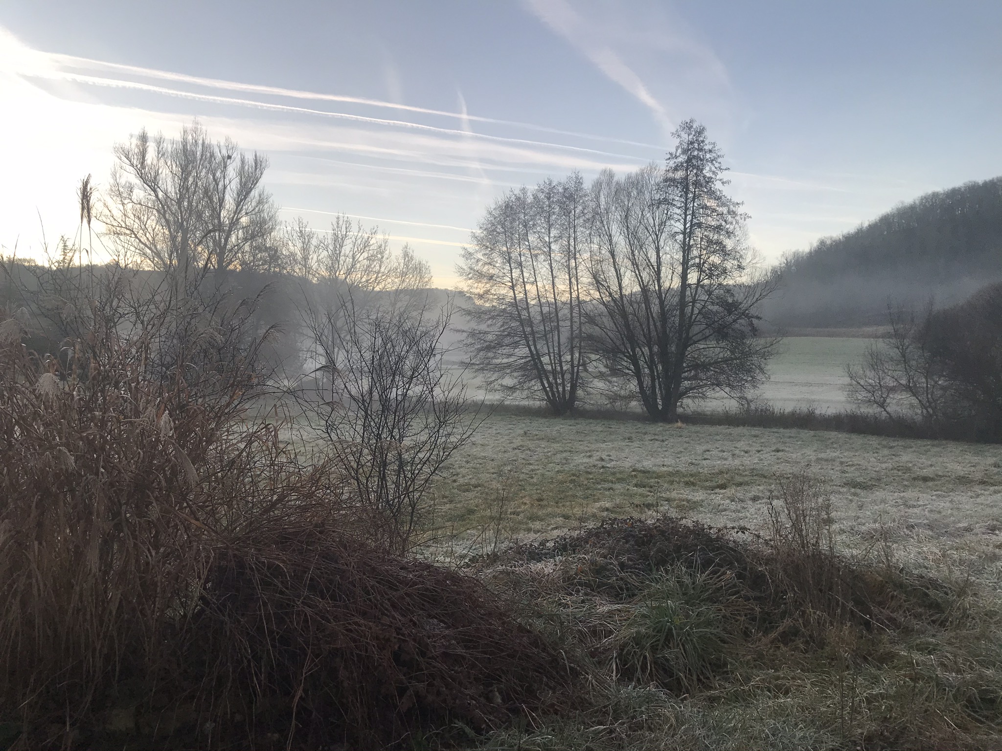 La folle avoine, Peyrilles - photo 28