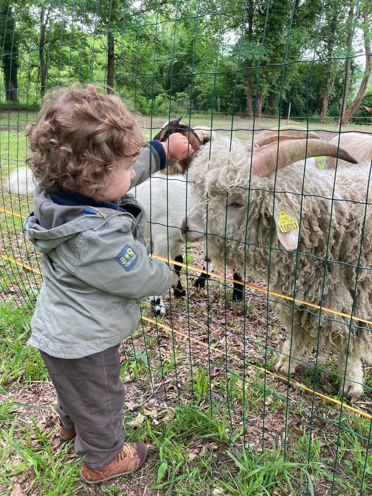 Ferme Pédagogique Les Minis Pattes