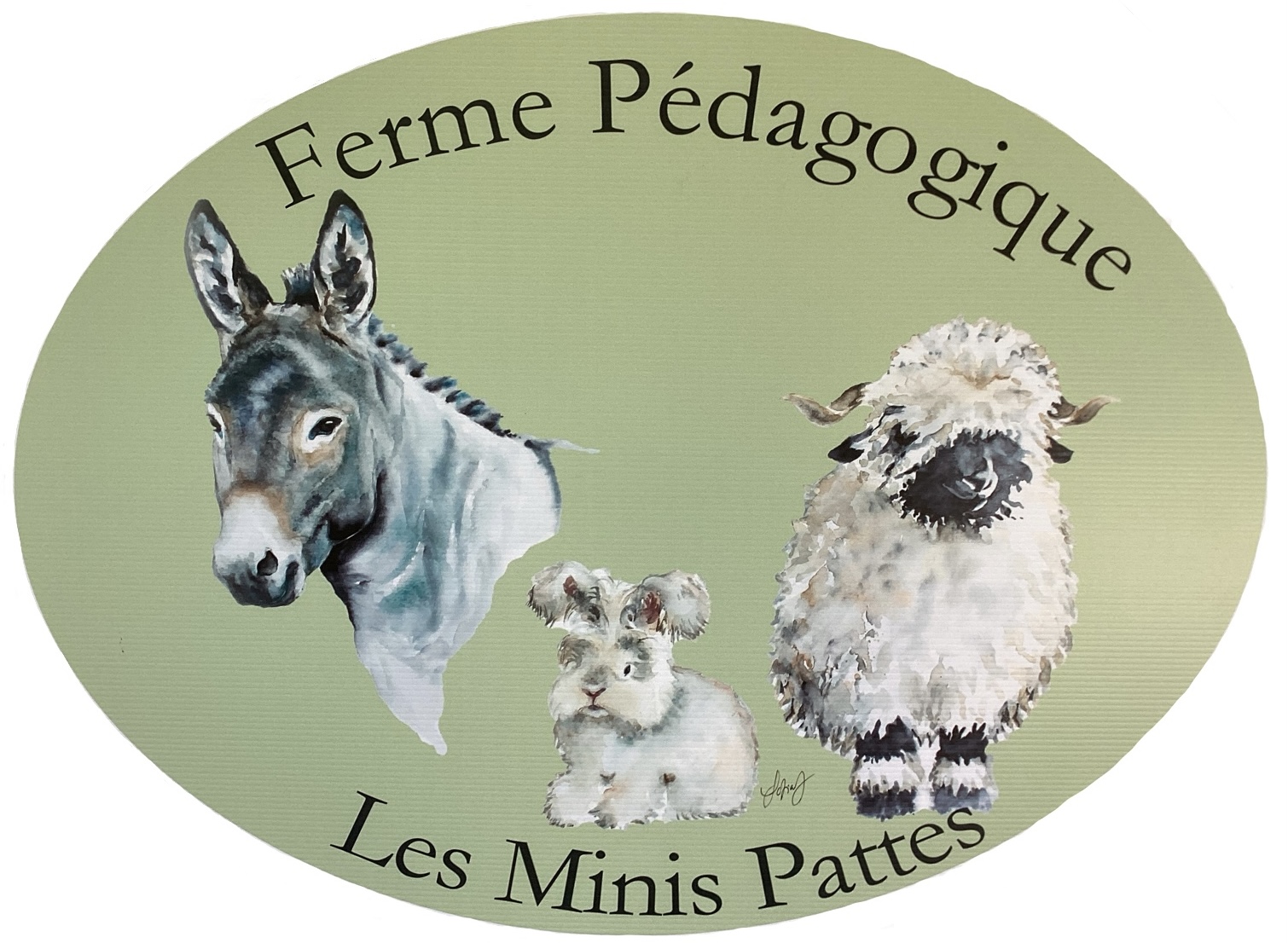 Ferme Pédagogique Les Minis Pattes, Cazals - photo 4