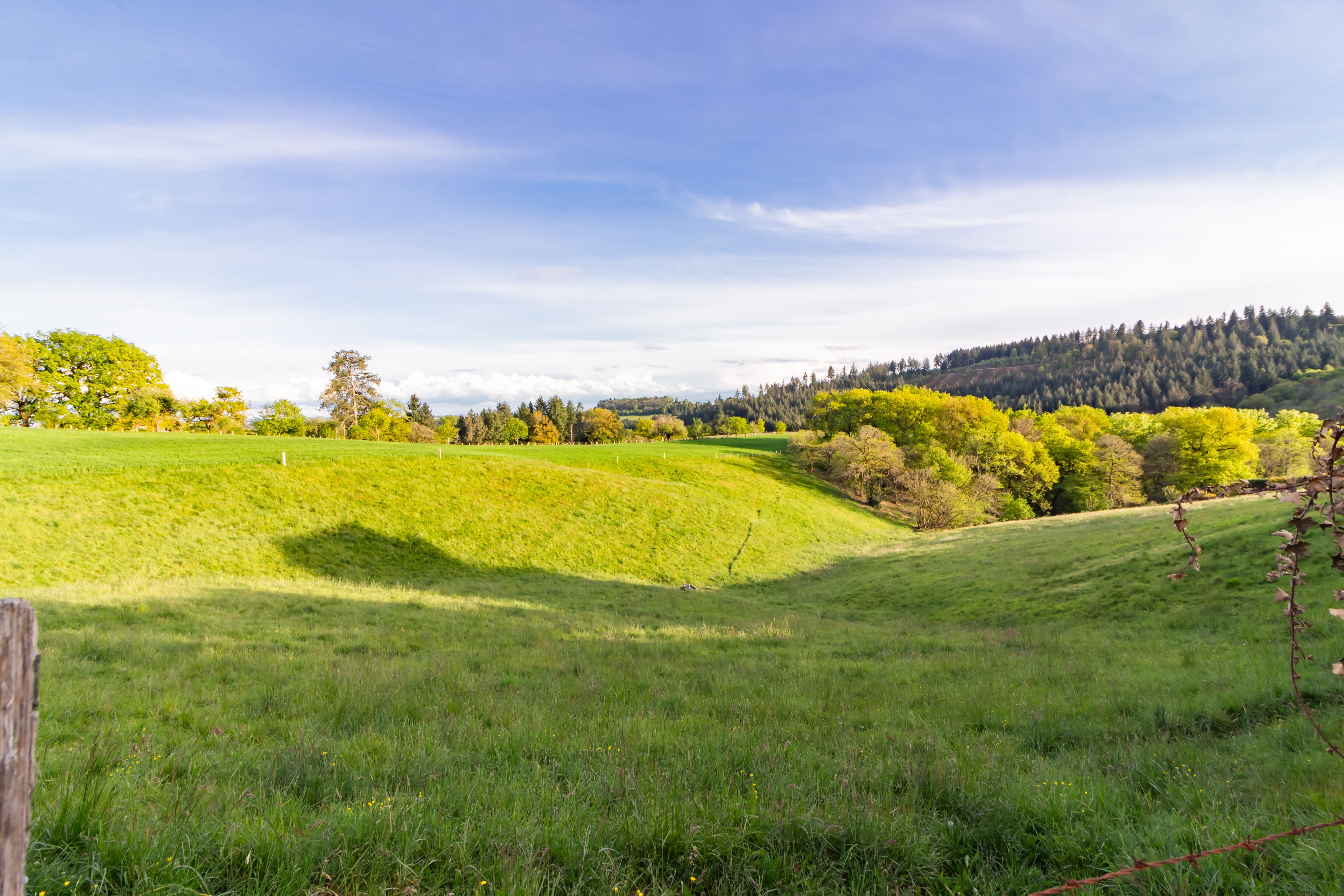 La Vue Verdoyante, Saint-Perdoux - photo 19