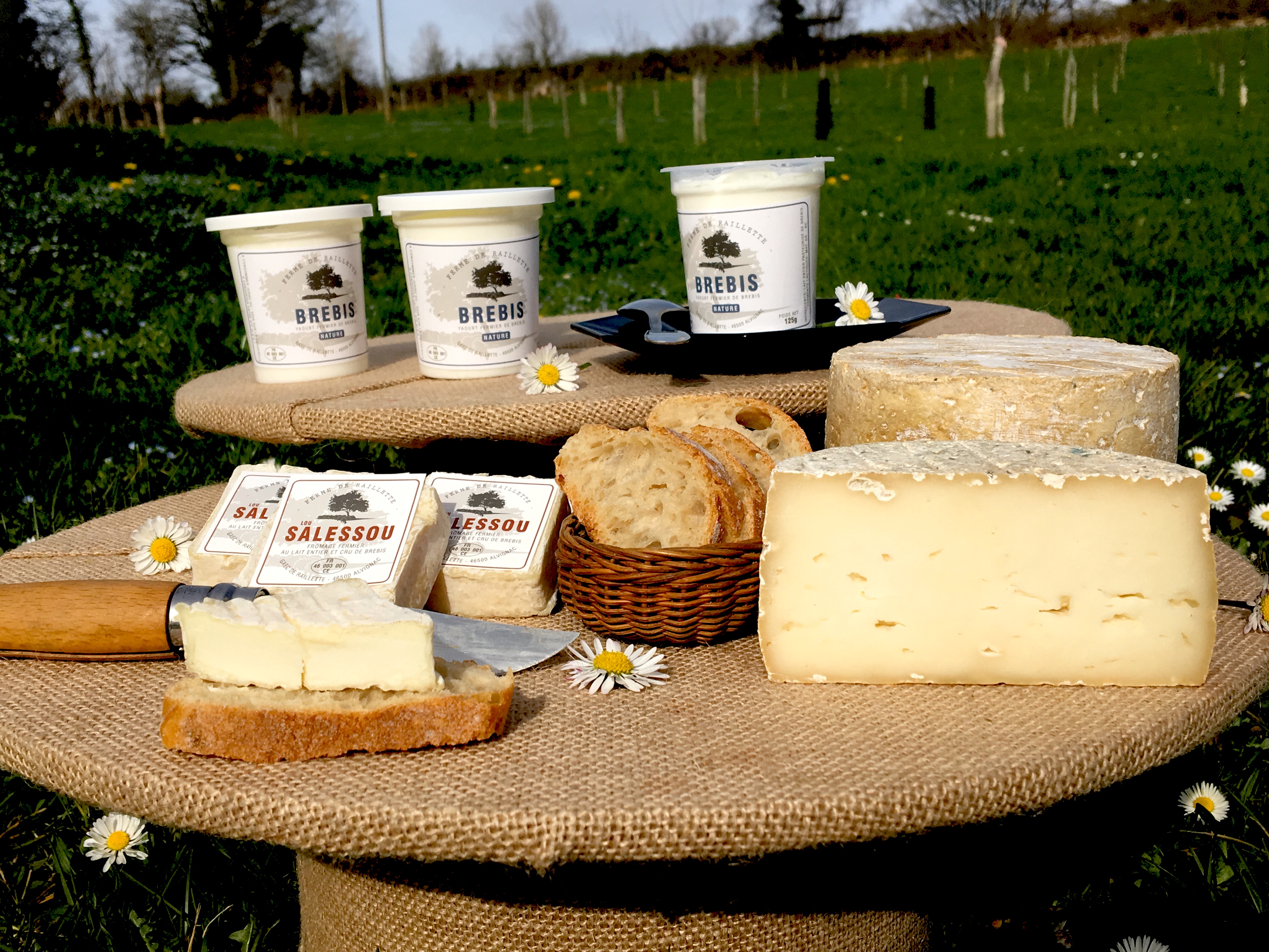 Ferme en fête à la ferme de Raillette