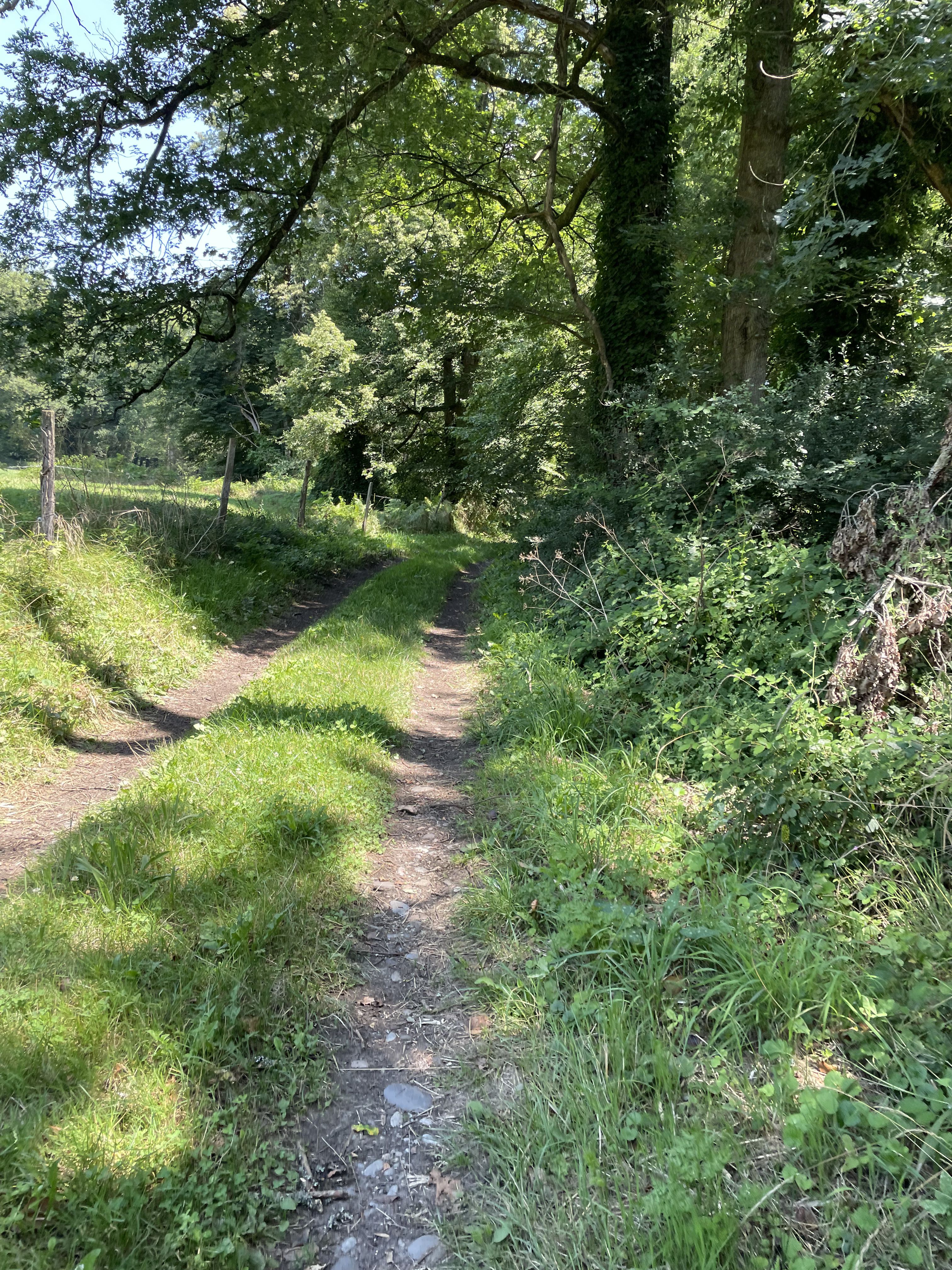 De Loubressac aux abords de la Dordogne, Loubressac - photo 4
