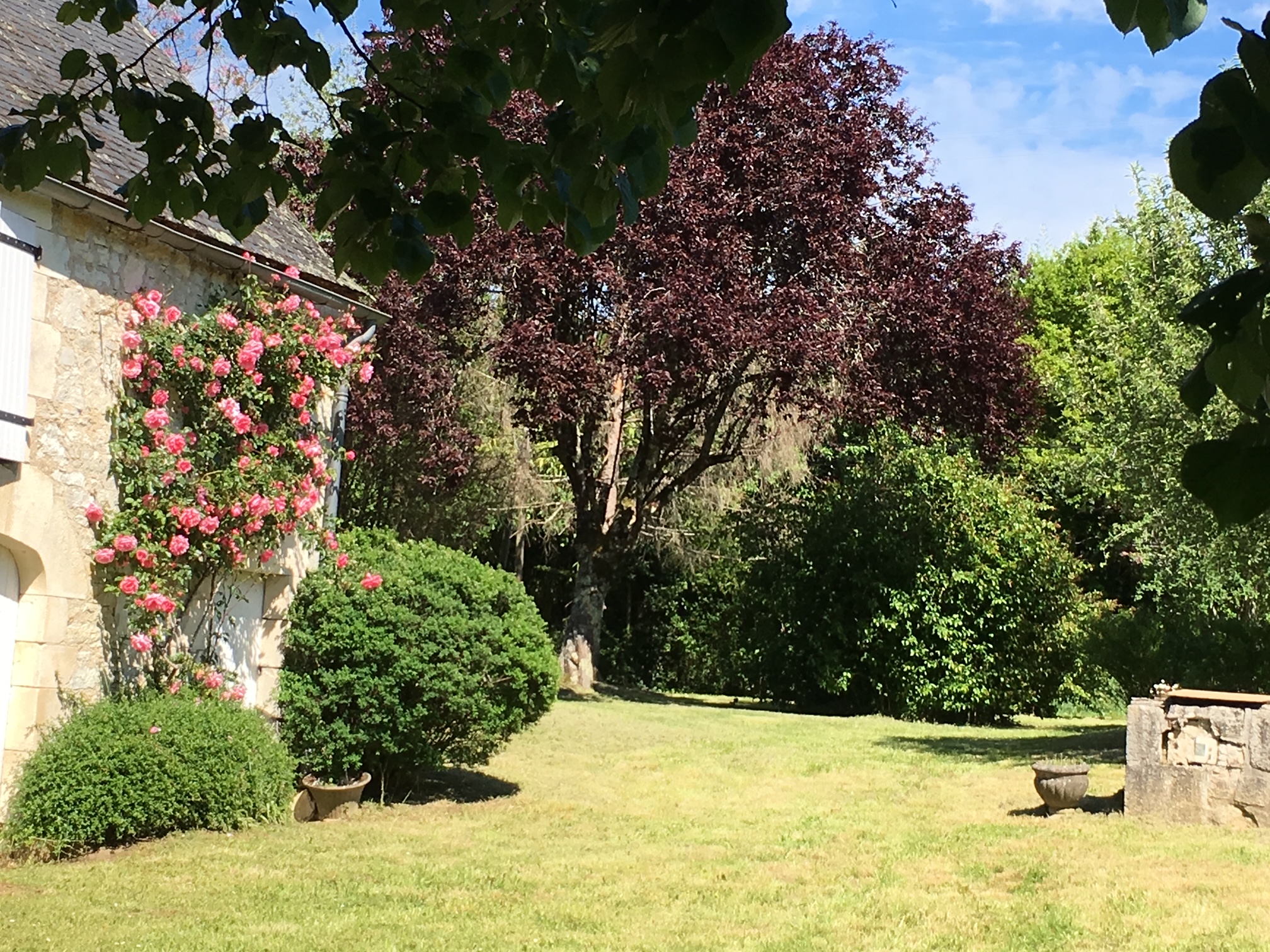 La Maison au tilleul, Creysse - photo 2