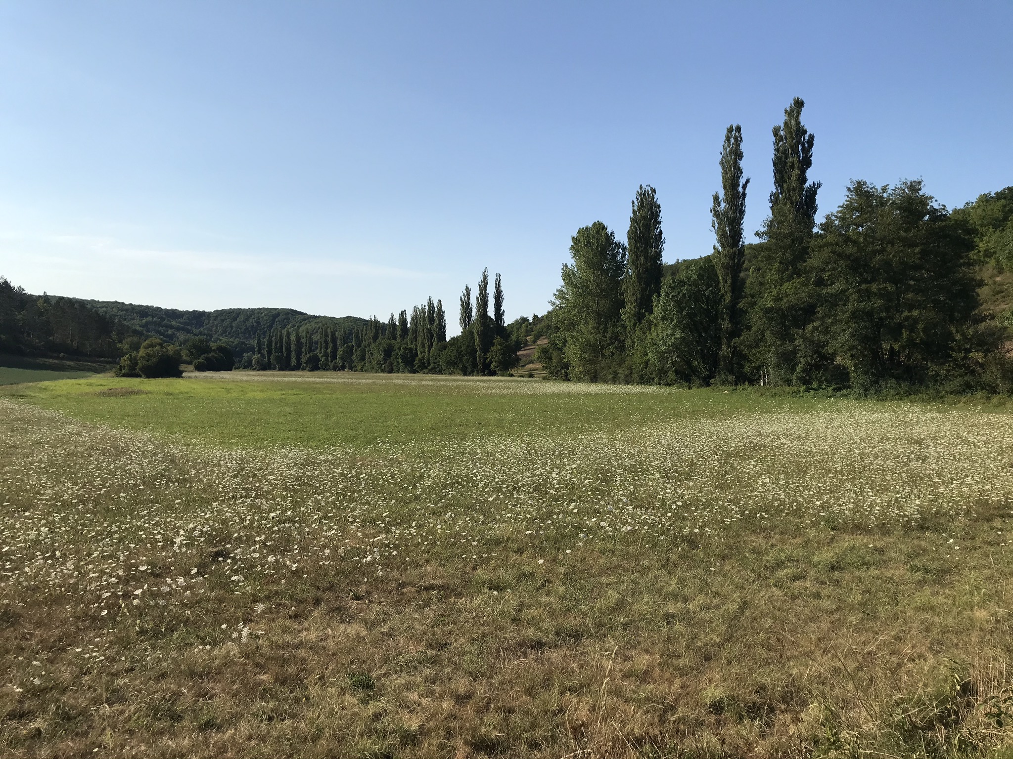 La folle avoine, Peyrilles - photo 31