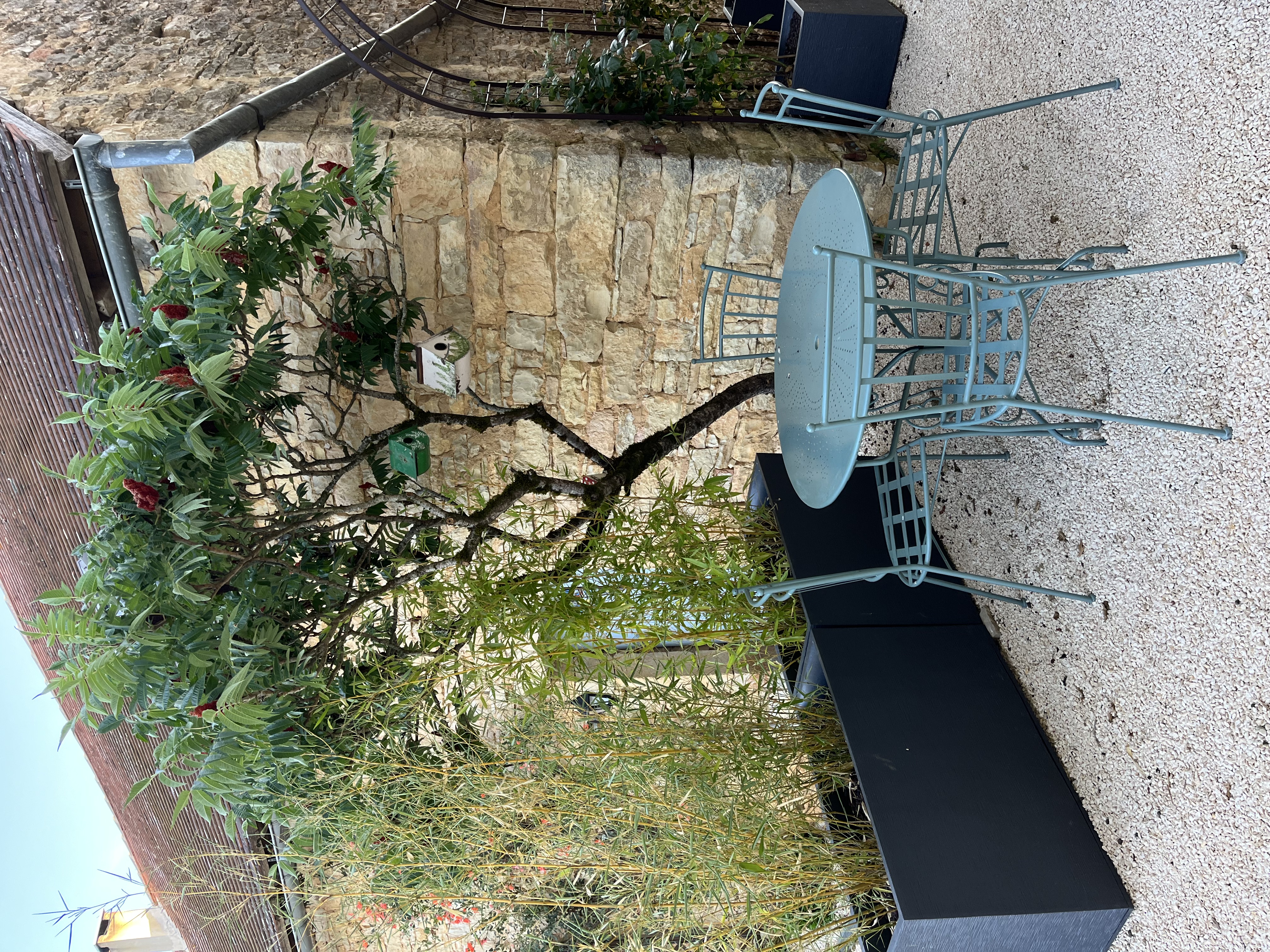 Le Petit Flory, Dégagnac - photo 8