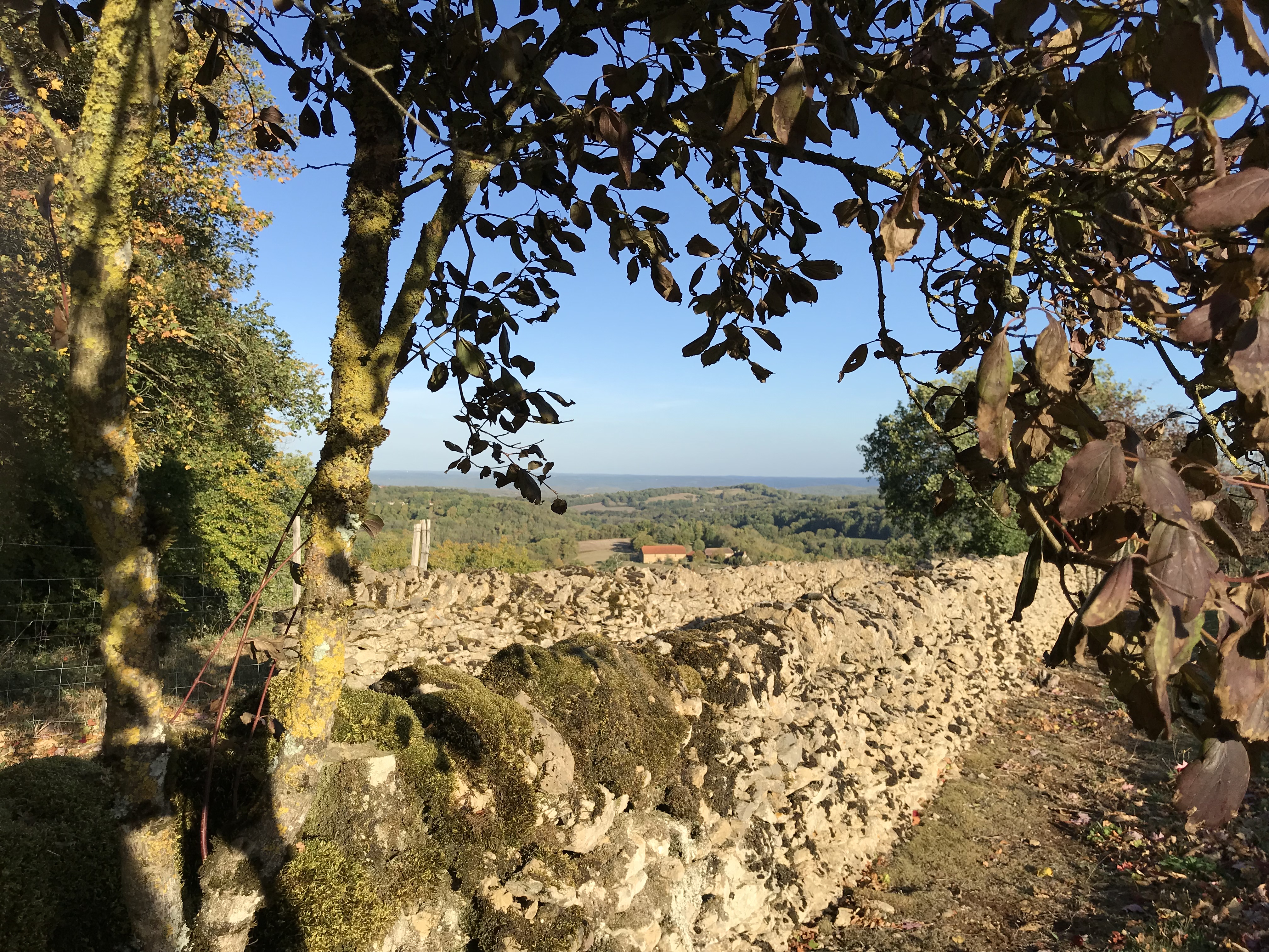 La Cabane de Vignes du Causse Nud, Alvignac - photo 2