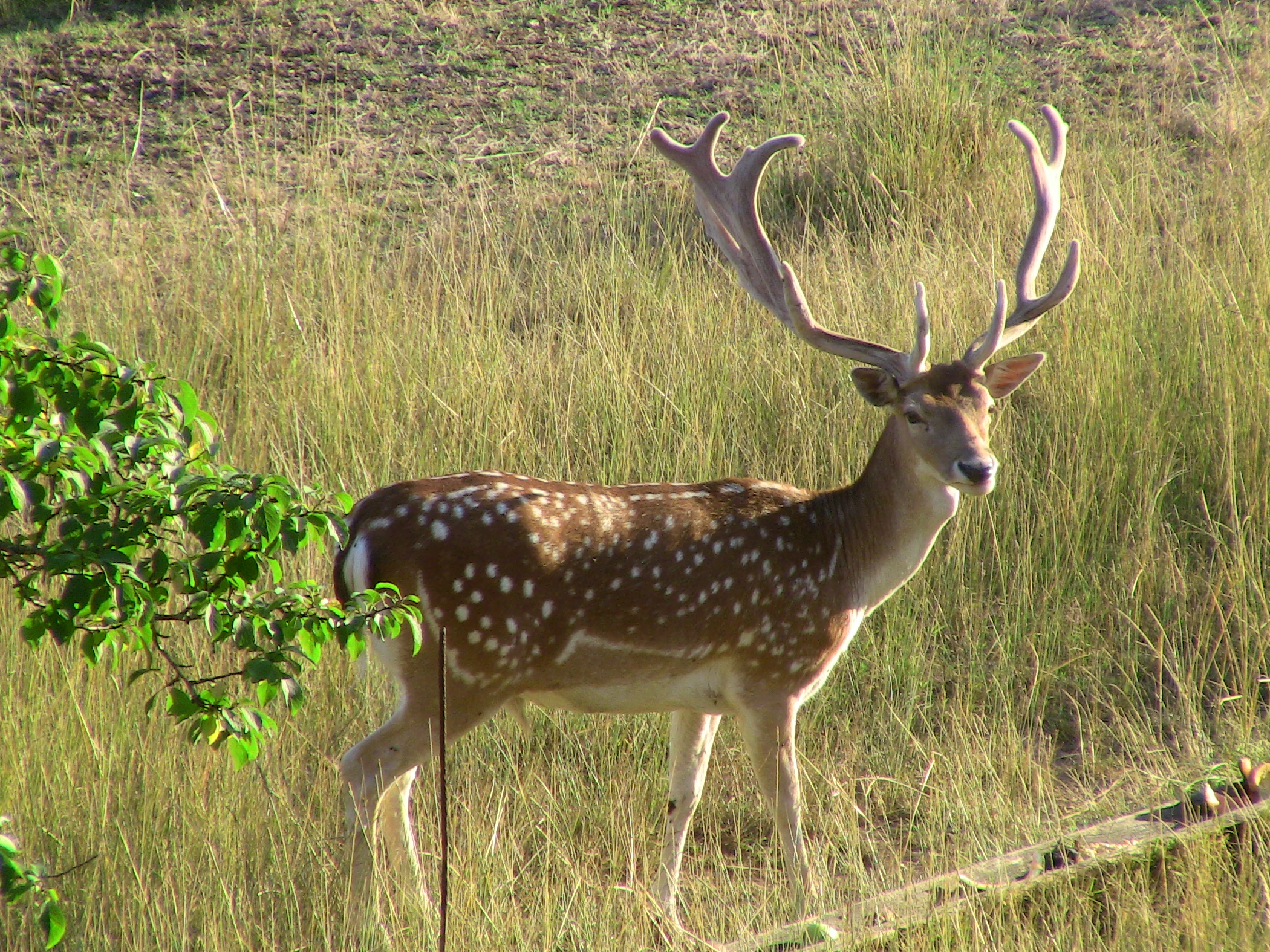 Gîte de Bonaguil Holidays, Soturac - photo 24