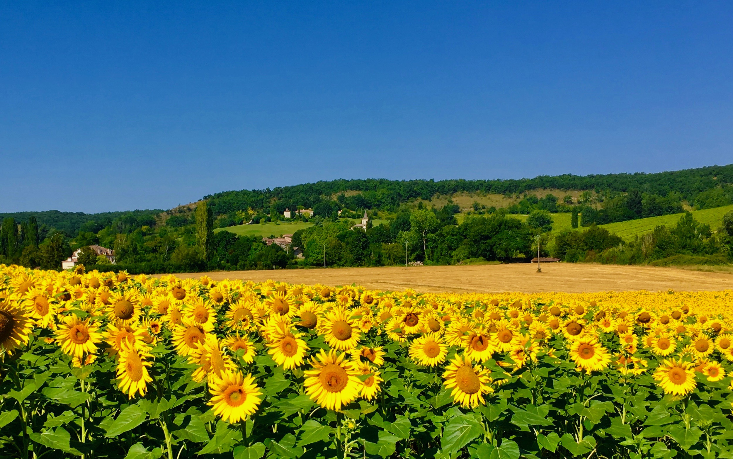 Au Chemin de Traverse, Lendou-en-Quercy - photo 2