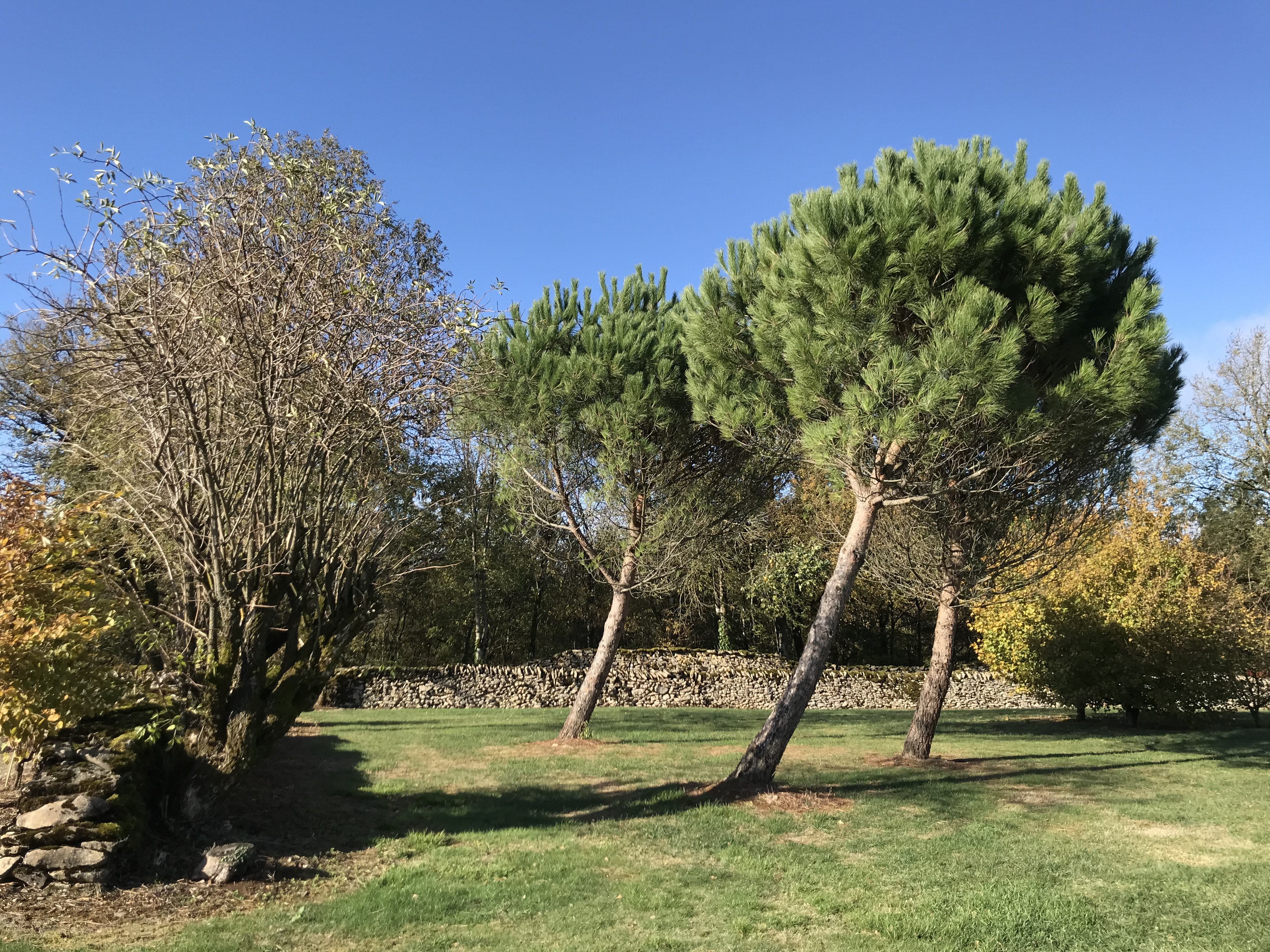 Le Pigeonnier du Causse Nud, Alvignac - photo 19
