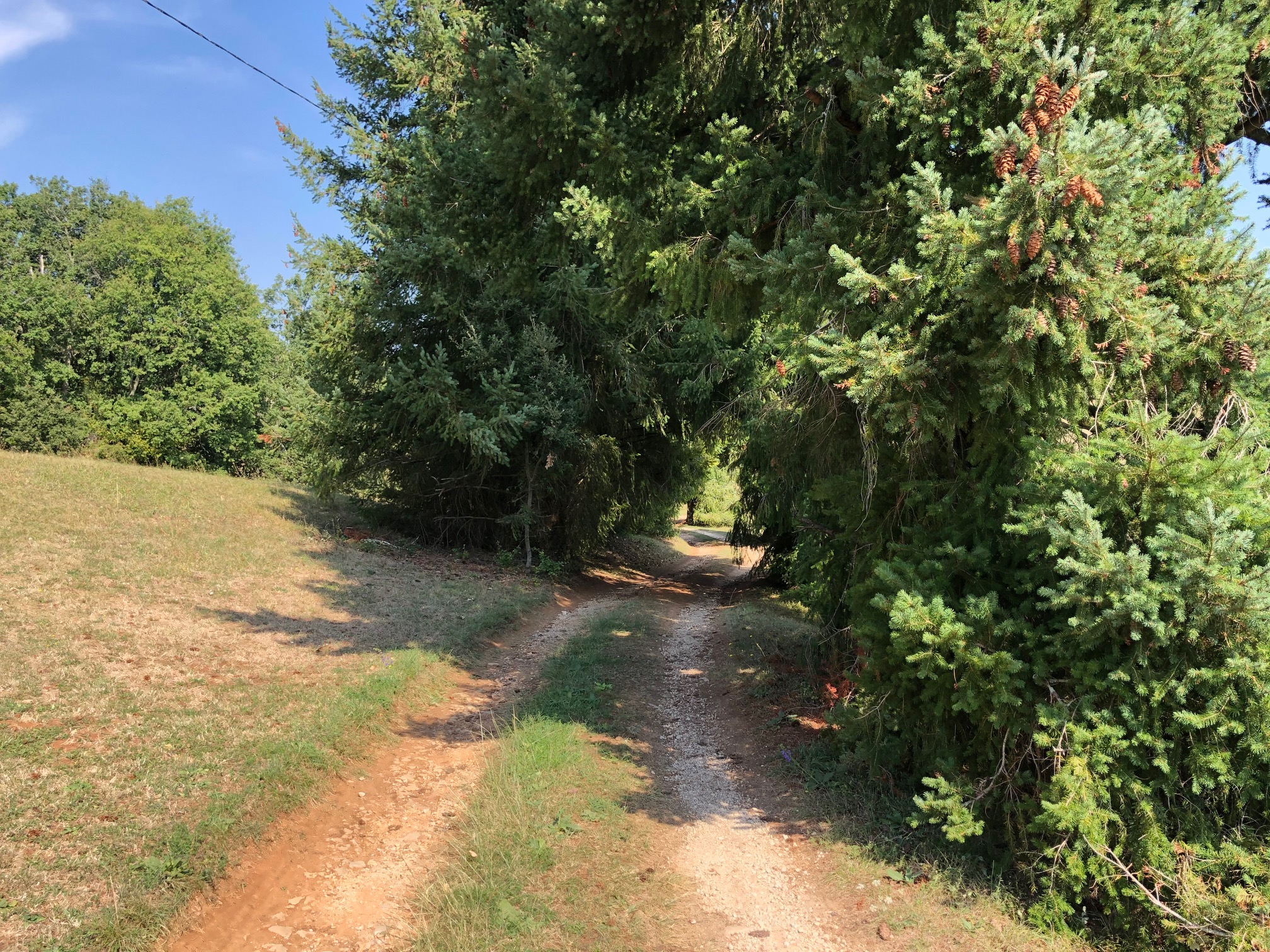 Fournet Bas, Saint-Martin-le-Redon - photo 11