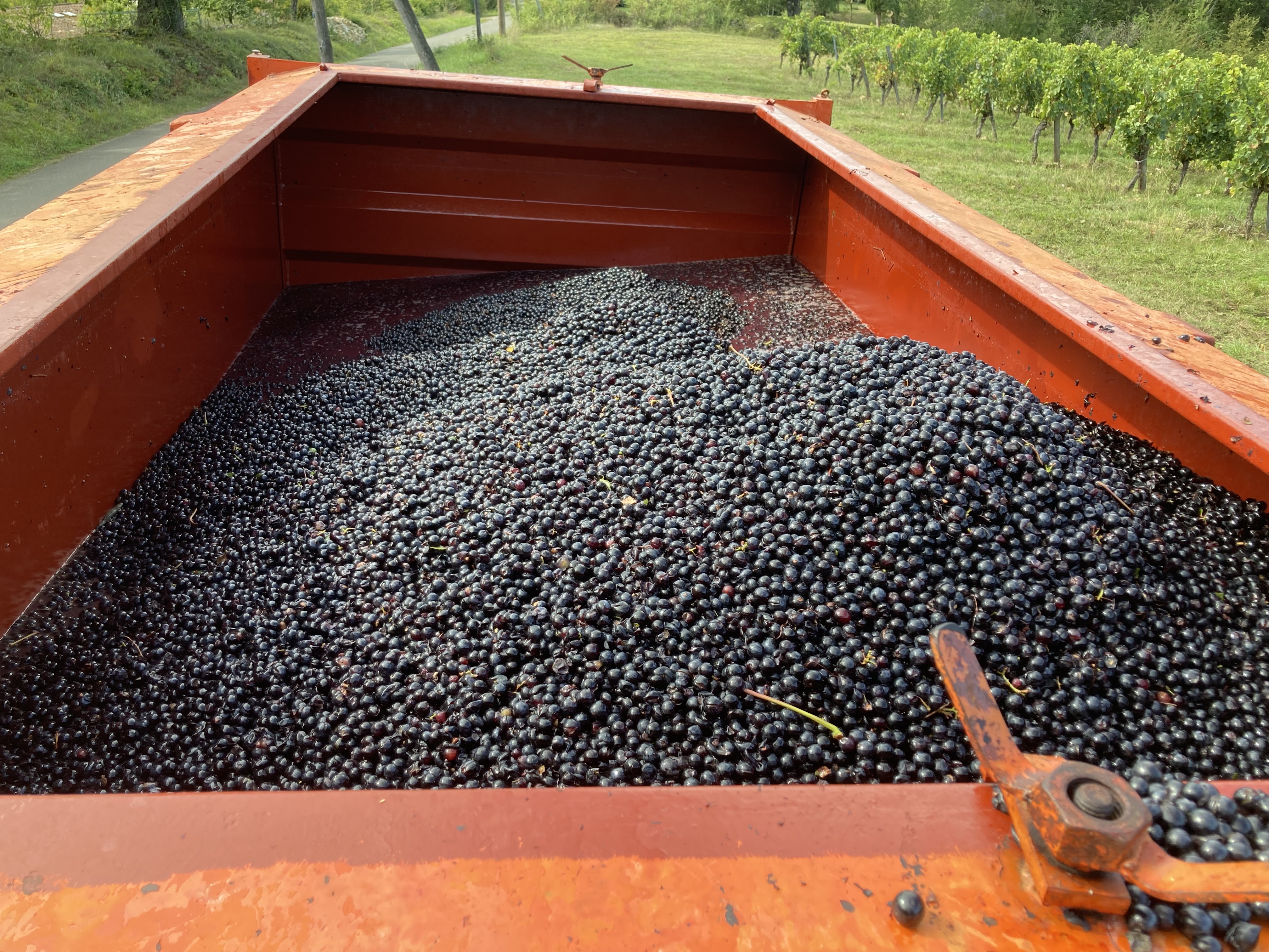 Les Vignobles St-Didier Parnac - Château Saint-Didier/Prieuré de Cénac/Château de Grézels