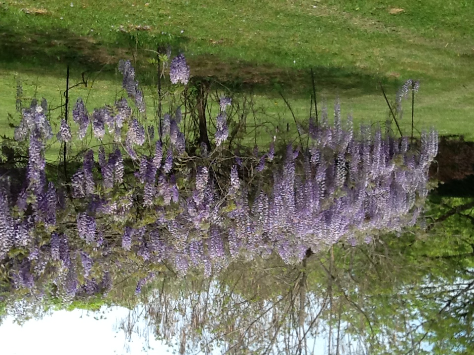 Maison Mariela, Luzech - photo 2