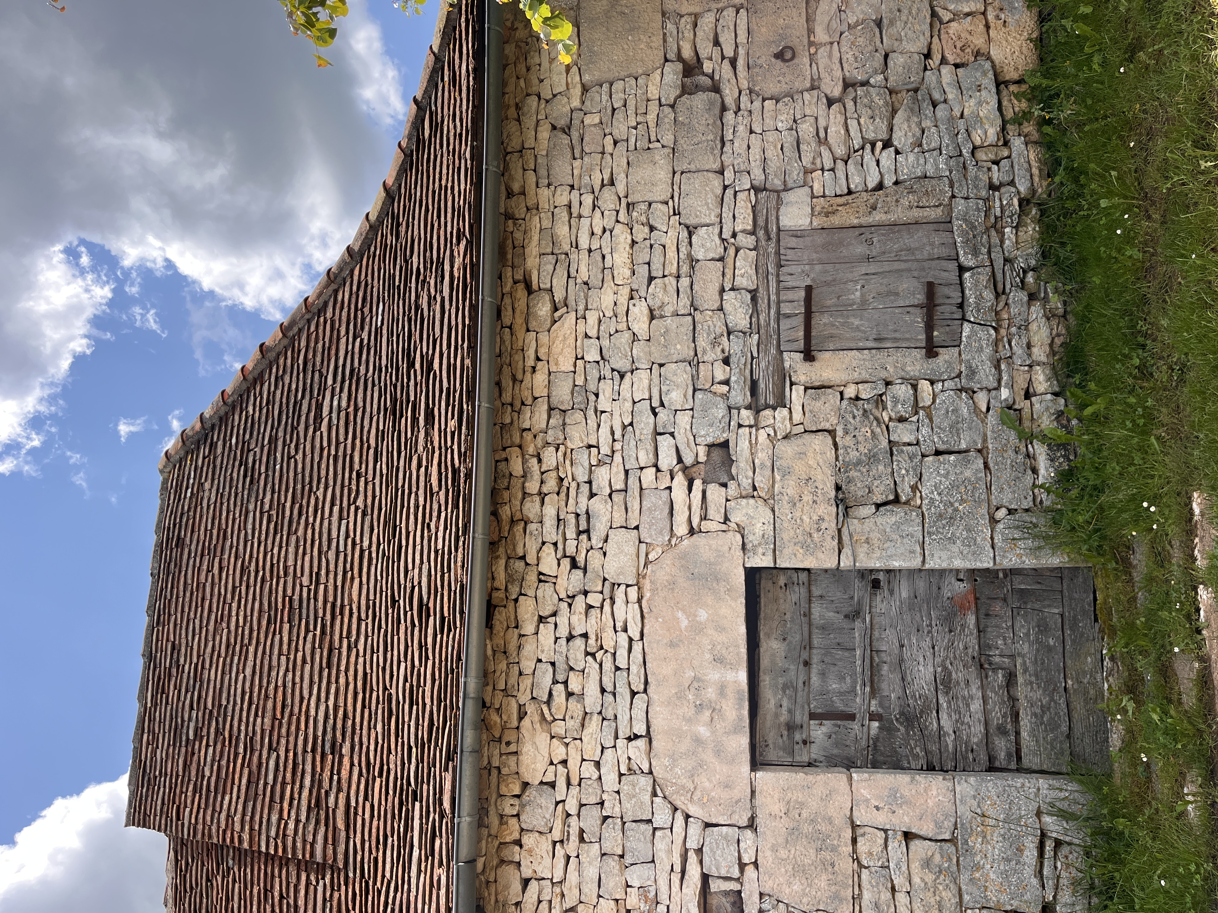 Marguerite, Issendolus - photo 2