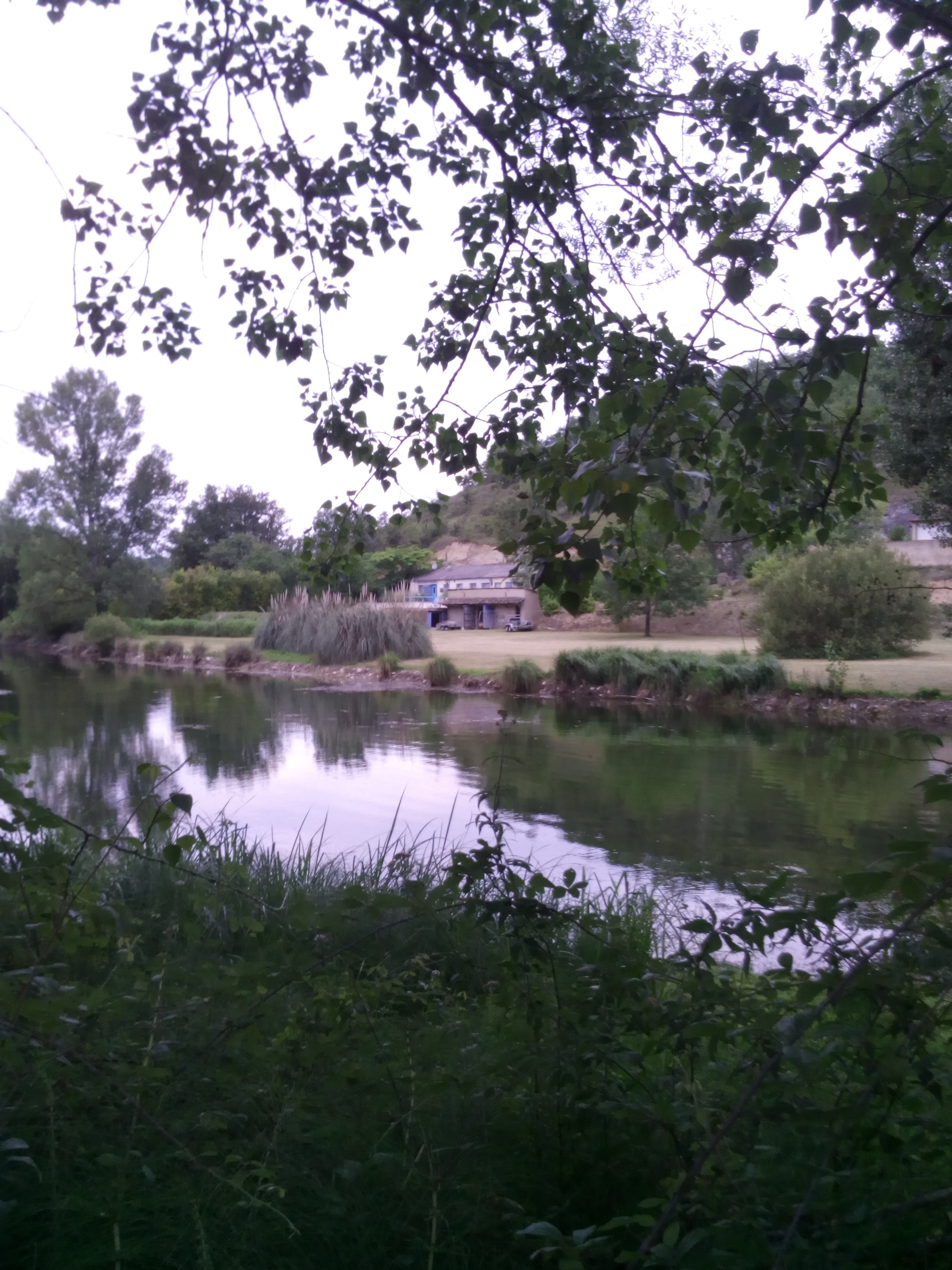 Le Clos des Romarins - Orchidée — photo 3